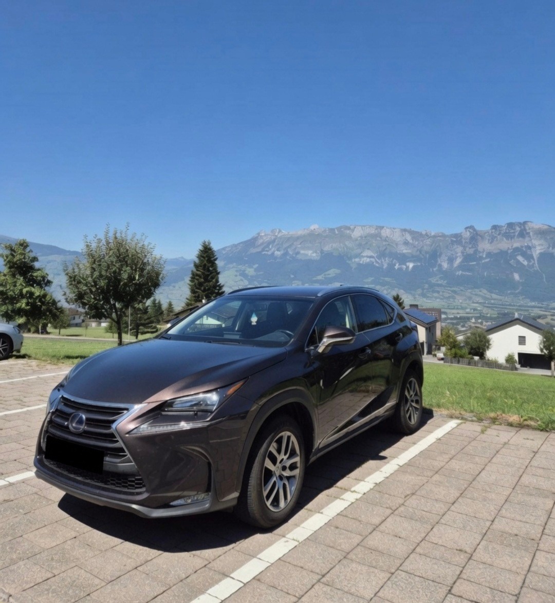 LEXUS NX-image-0
