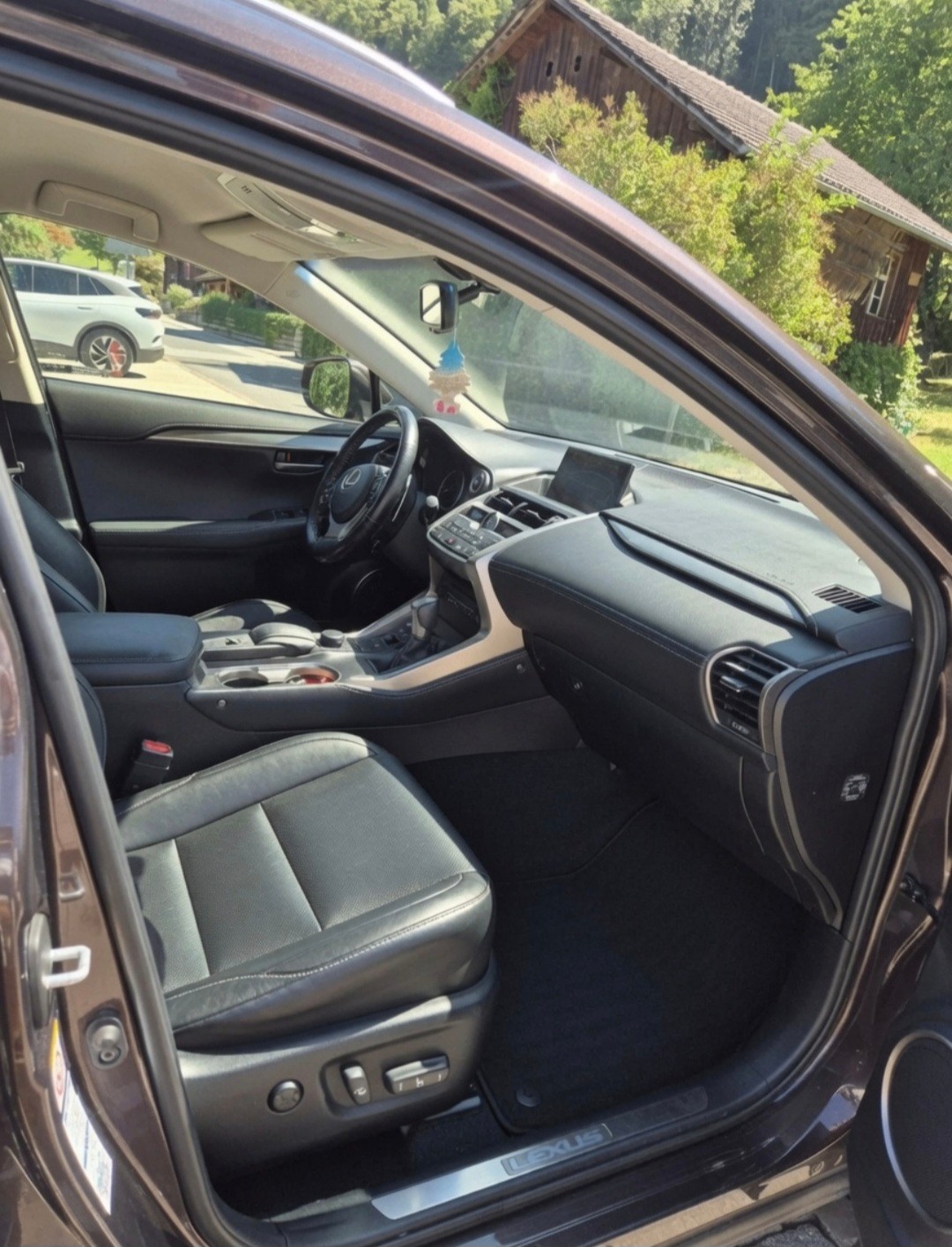 LEXUS NX-image-5