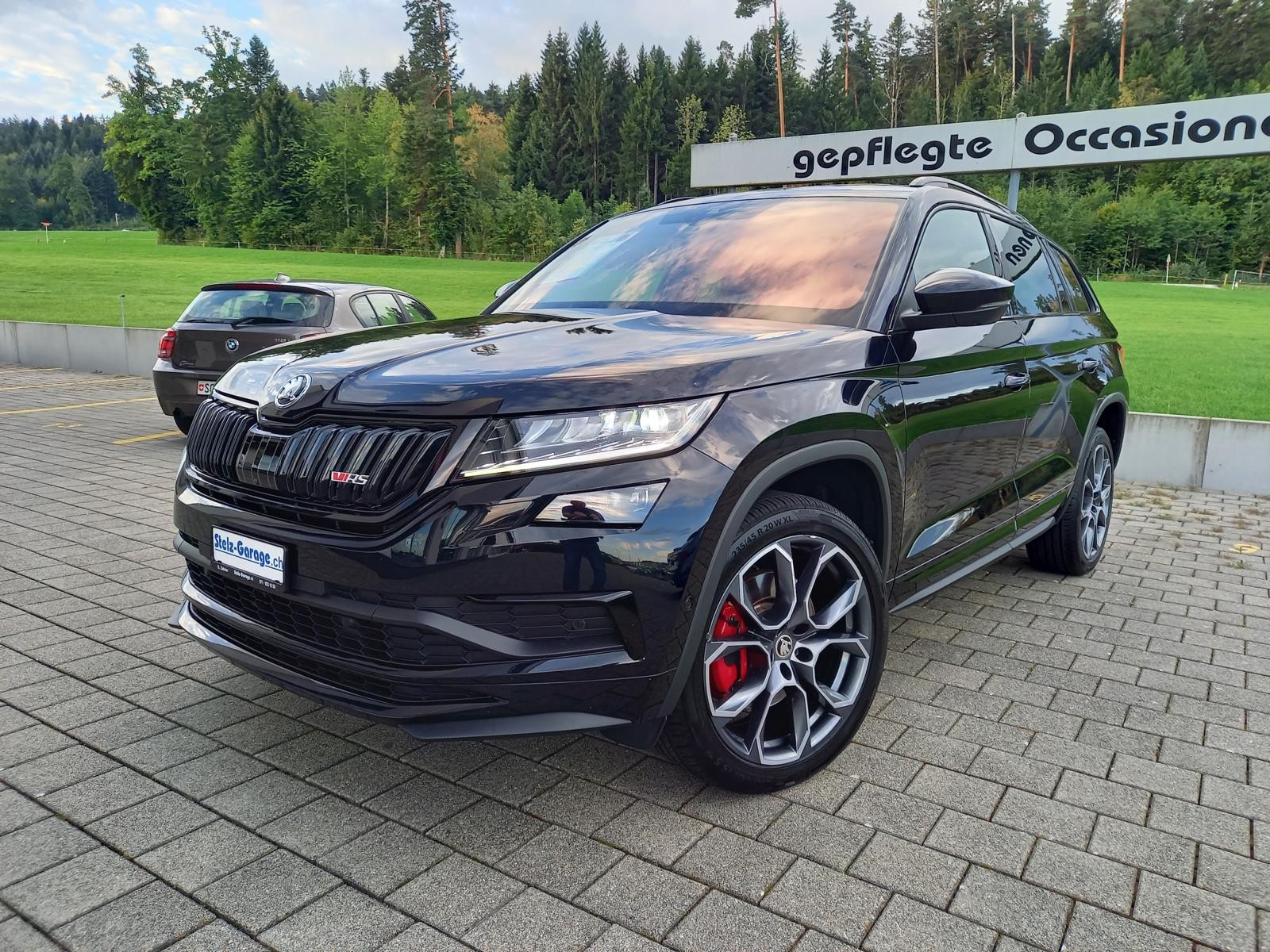 SKODA Kodiaq 2.0 Bi-TDI SCR RS 4x4 DSG **7 Sitze**-image-0