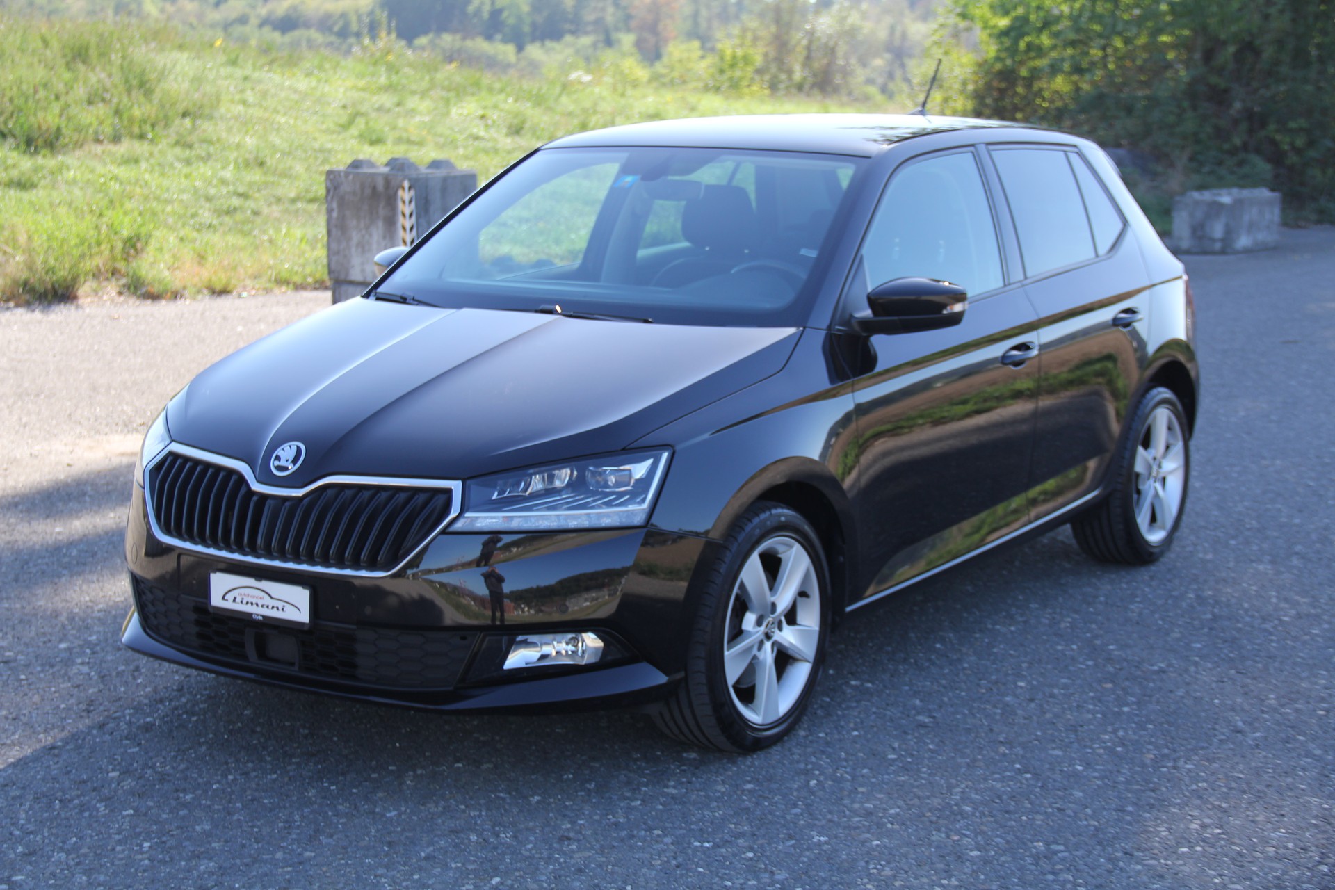 SKODA Fabia 1.0 TSI Style DSG-image-0