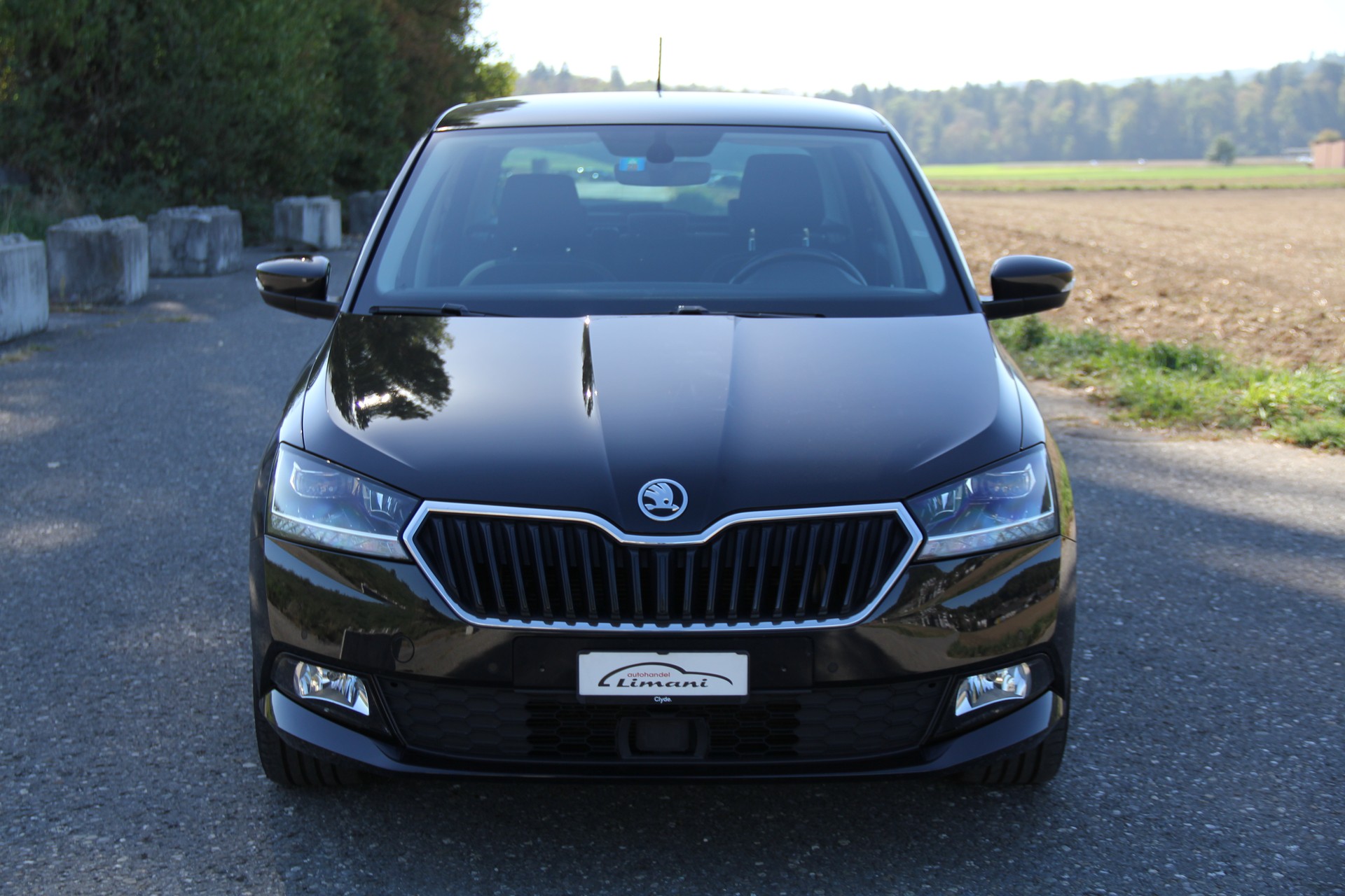 SKODA Fabia 1.0 TSI Style DSG-image-1