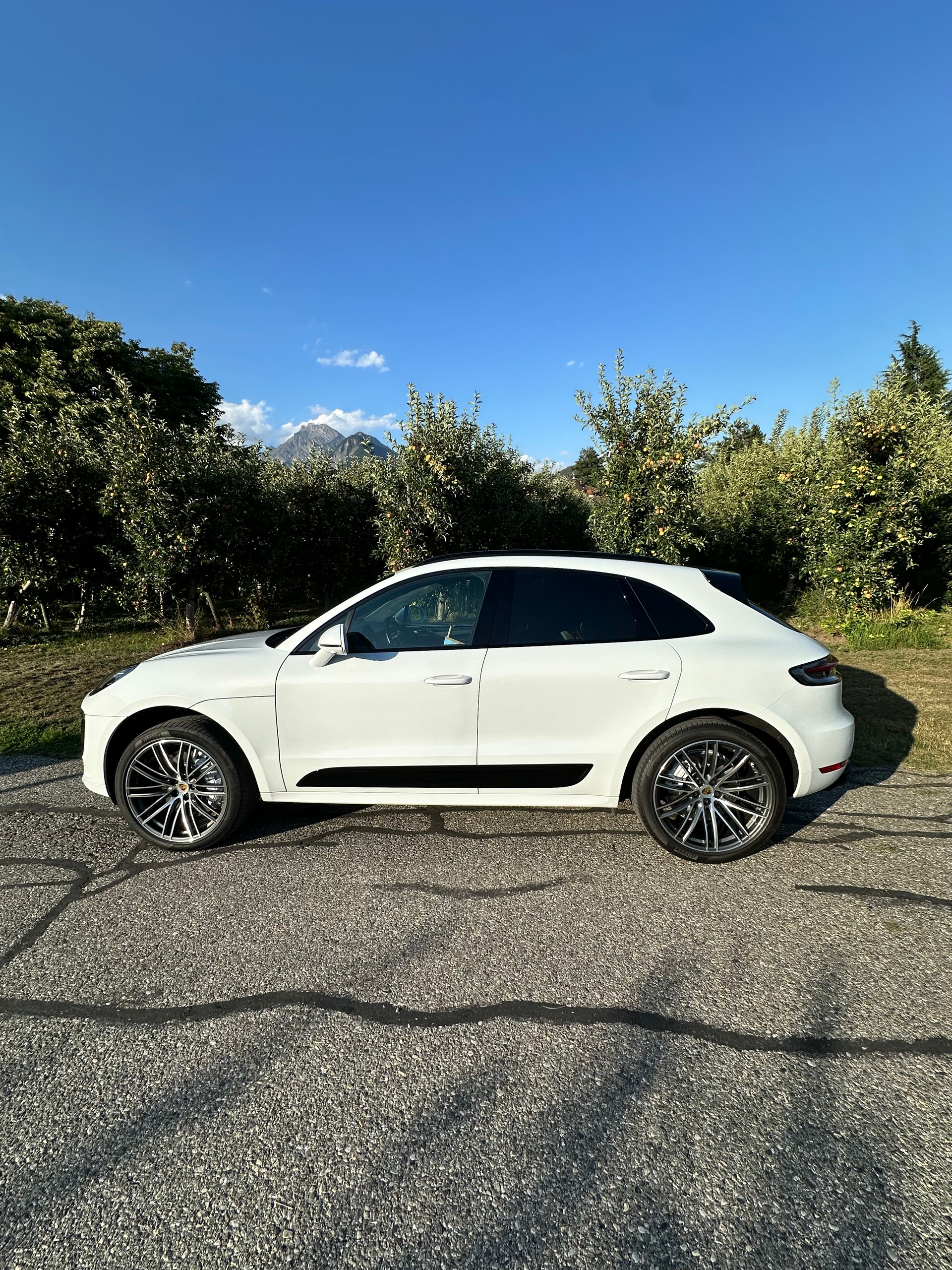 PORSCHE 2.9 V6 Turbo-image-4