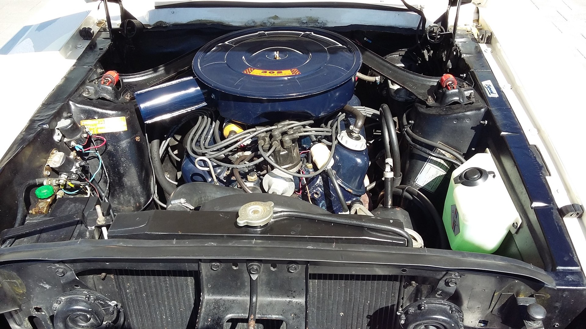 FORD MUSTANG 302-image-13