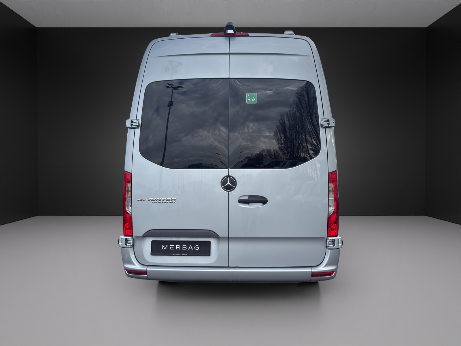 MERCEDES-BENZ Sprinter Tremonia Transfer 45-image-3