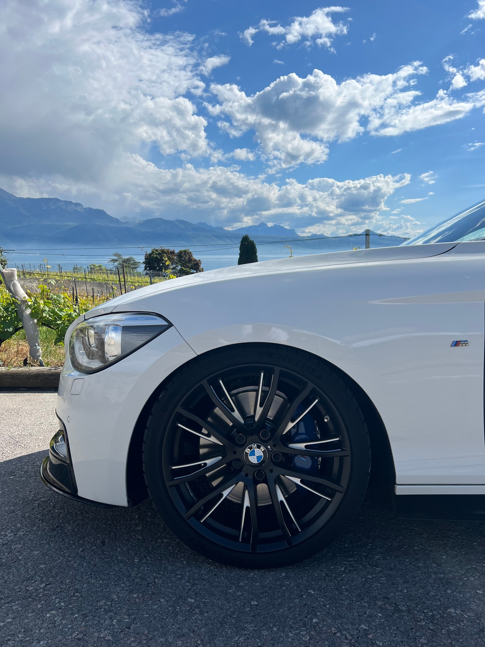 BMW M135i xDrive Steptronic-image-14