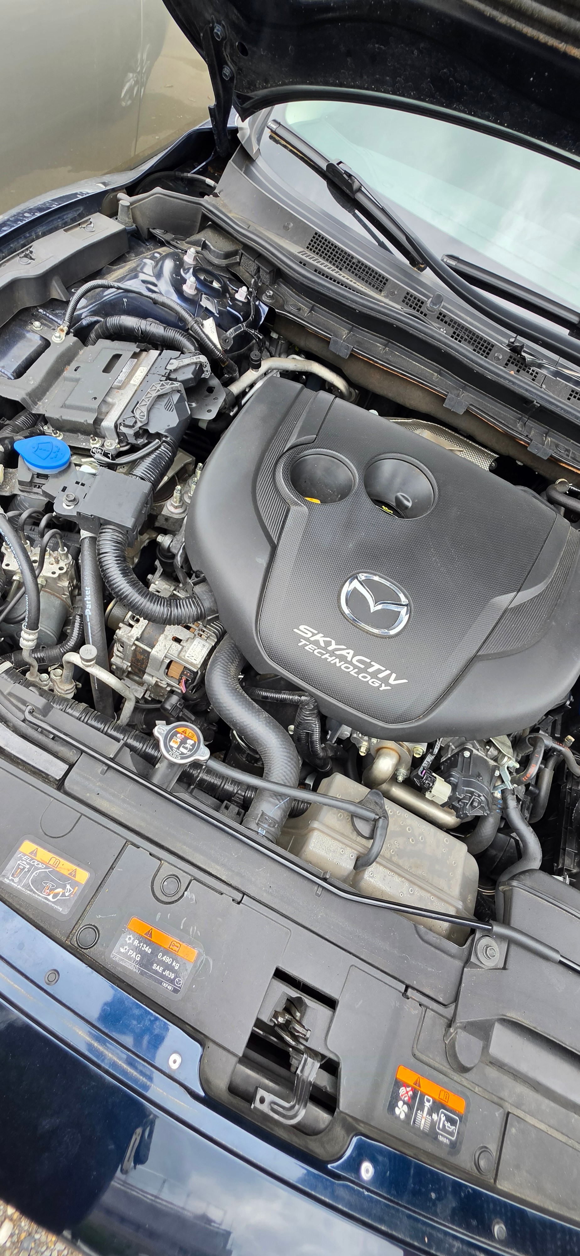 MAZDA 6 2.2 D 16V Ambition Automatic-image-6