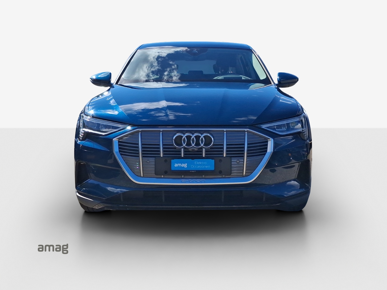 AUDI e-tron 55 quattro-image-6
