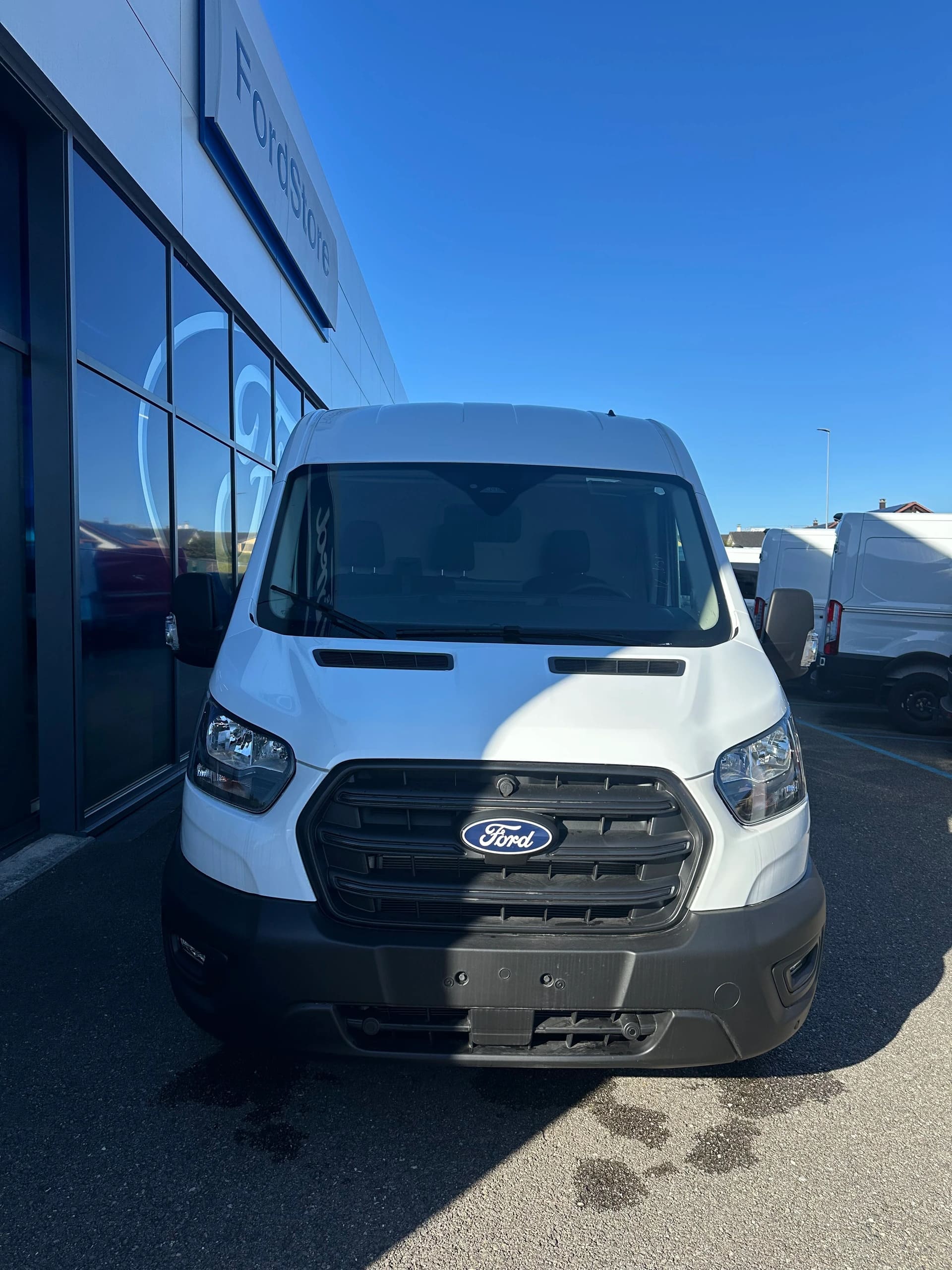 FORD Transit van 350 L3H2 2.0 EcoBl Trend/165CV/HD/Aut.-image-8