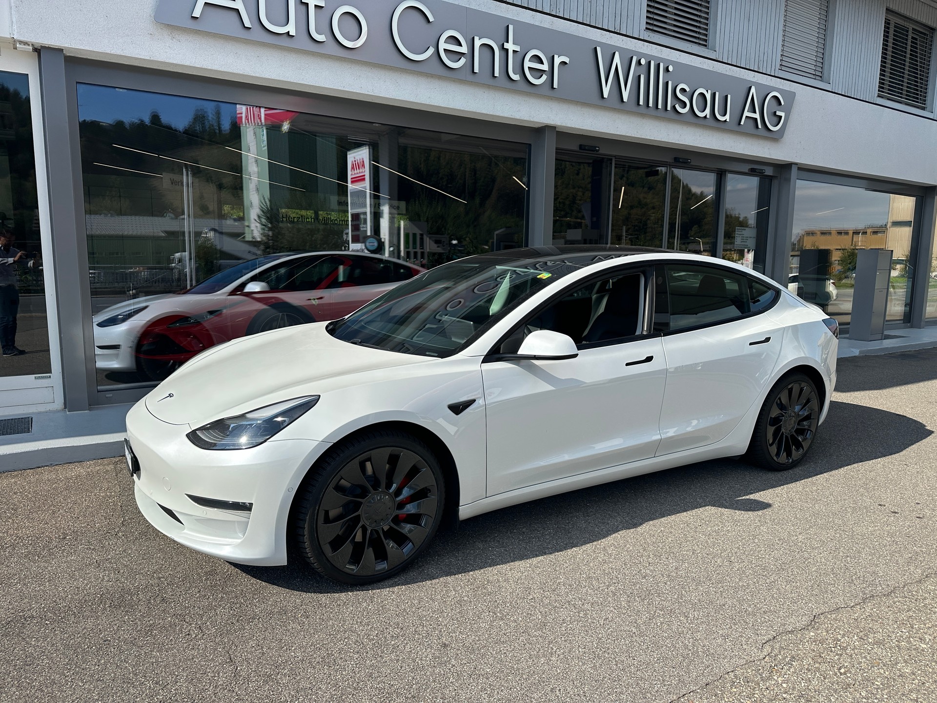 TESLA Model 3 Performance Dual Motor AWD-image-0