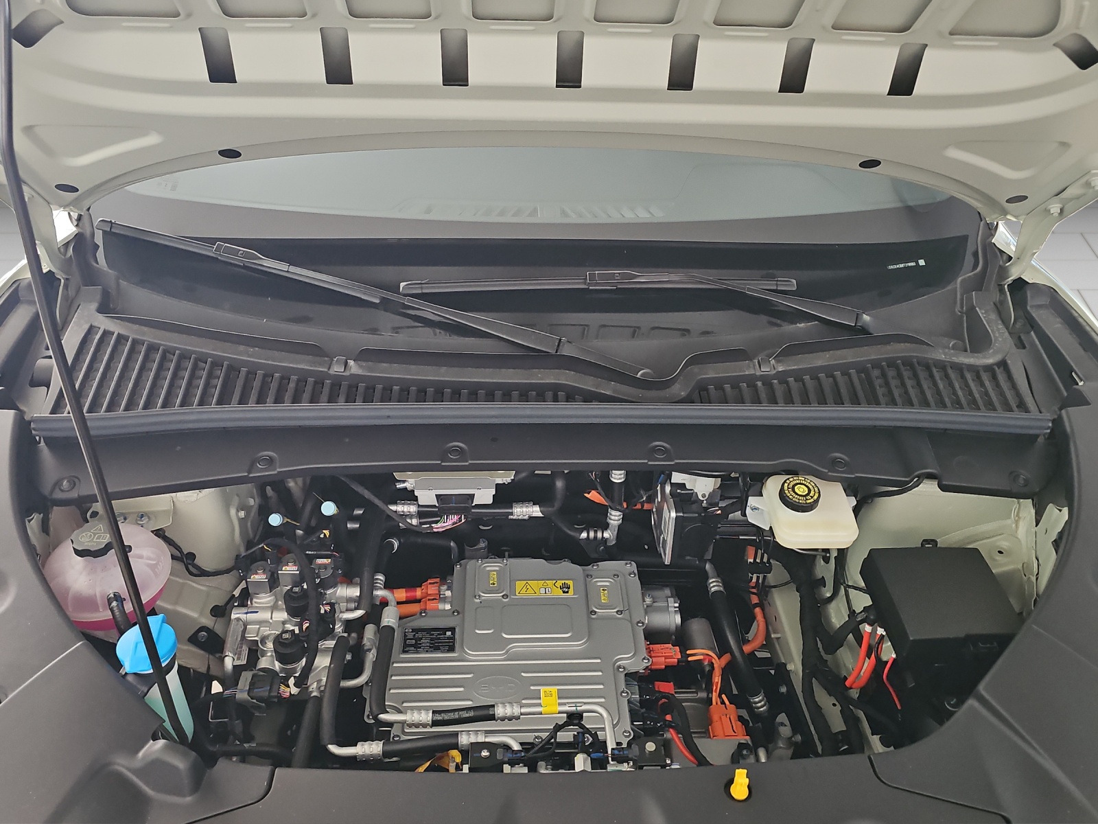BYD Atto2 64 kWh Comfort-image-20