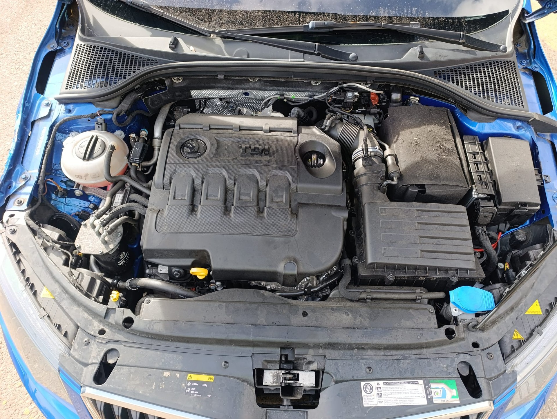 SKODA Octavia Combi 2.0 TDI Scout 4x4 DSG-image-6