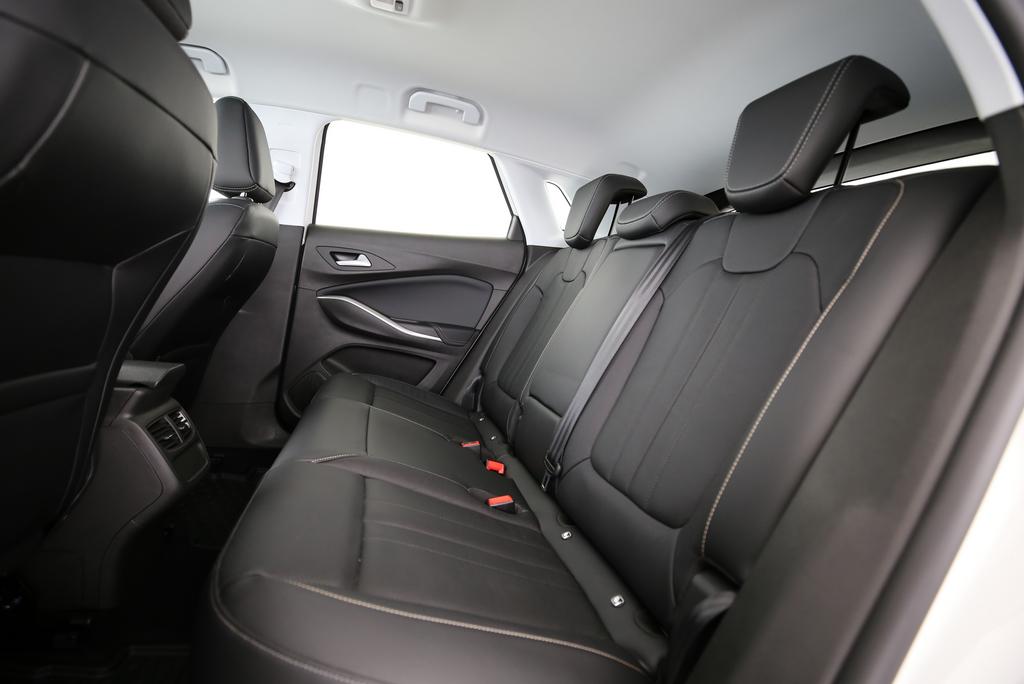 OPEL Grandland 1.6 T PHEV Elegance-image-8