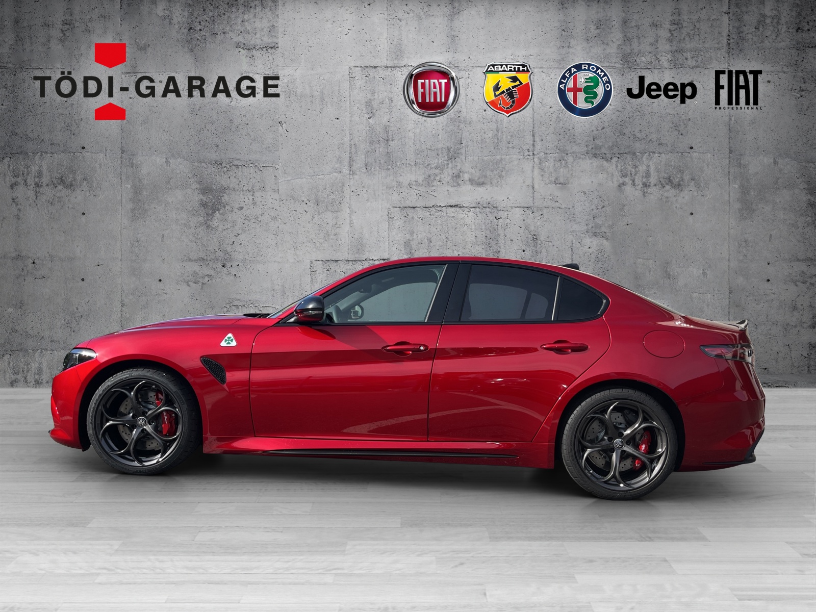 ALFA ROMEO Giulia 2.9 V6 Biturbo Quadrifoglio-showroom-element-2