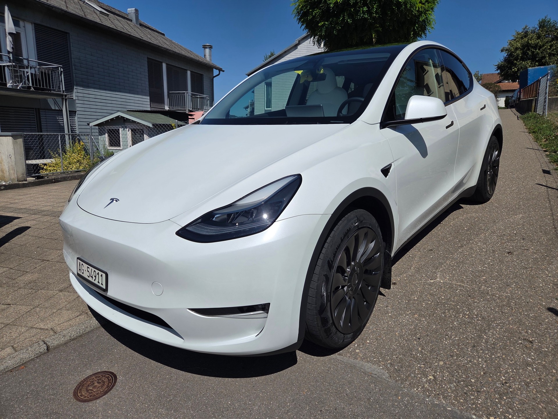 TESLA Long Range D-image-0