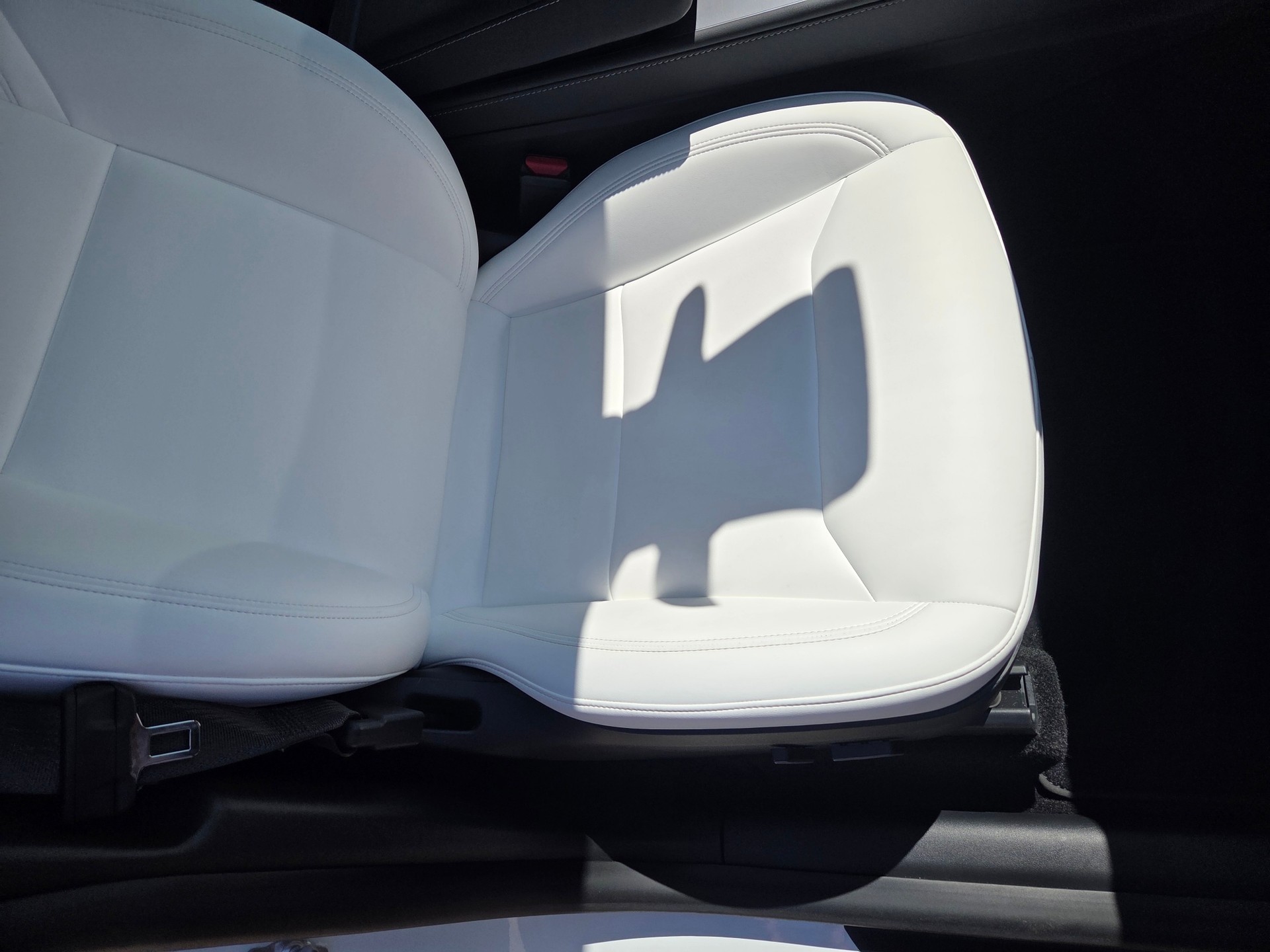 TESLA Long Range D-image-5