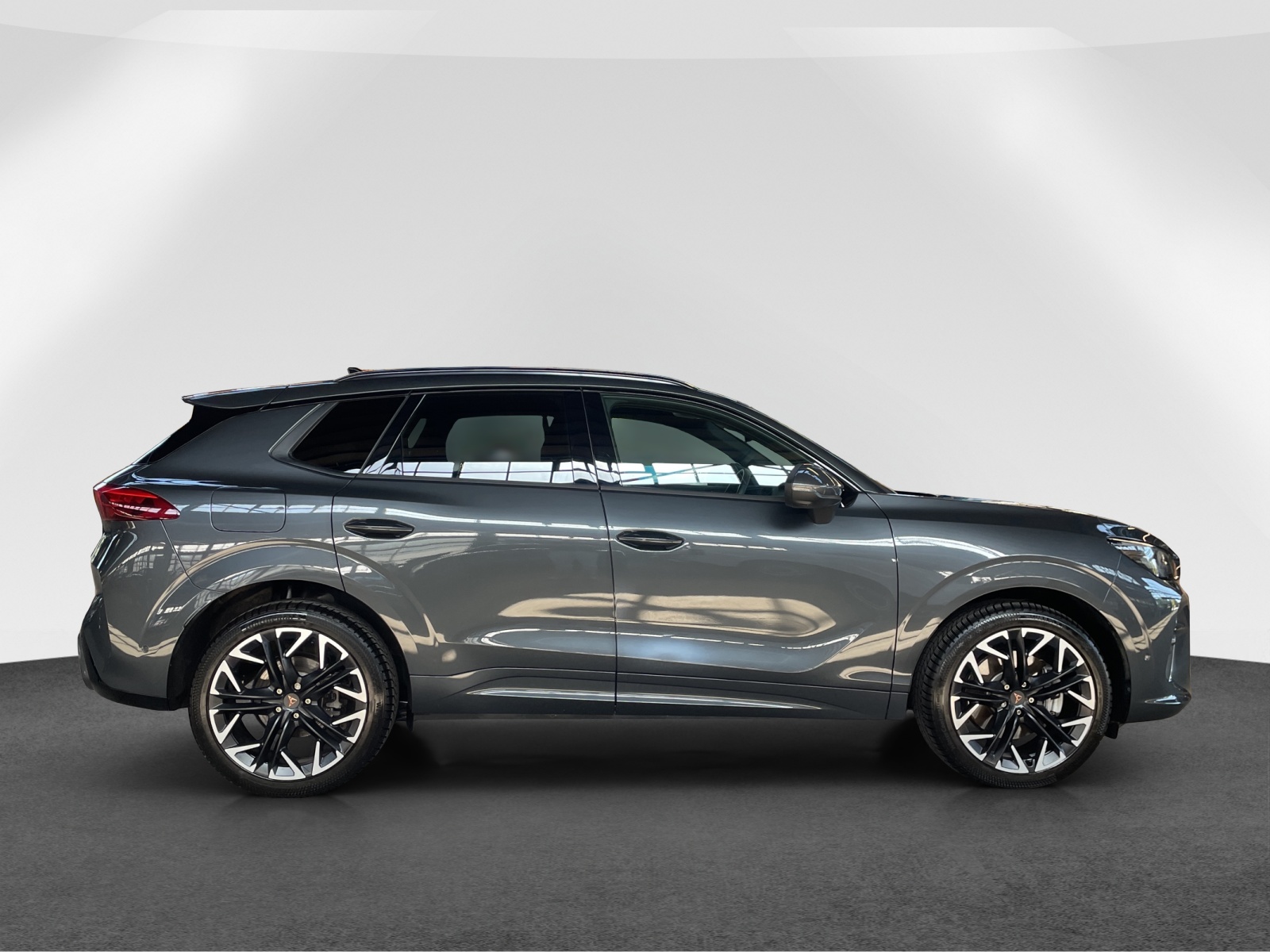 CUPRA Terramar 2.0 TSI 4Drive DSG-image-7