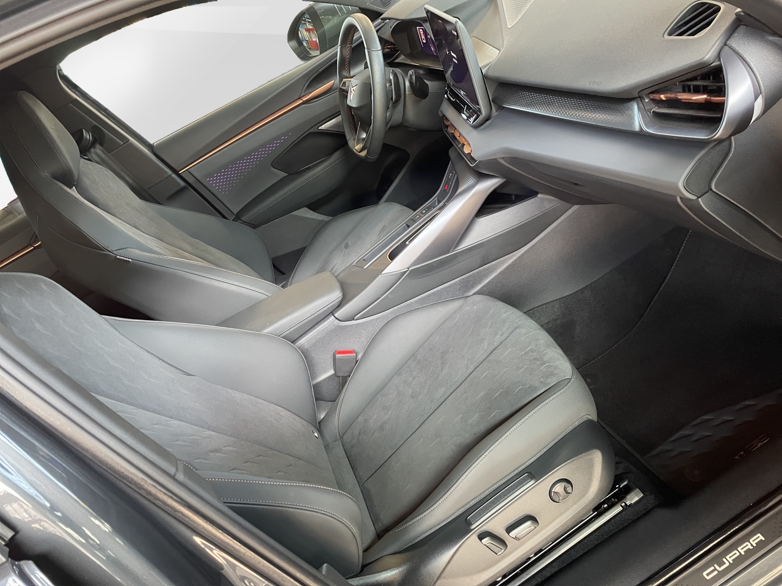 CUPRA Terramar 2.0 TSI 4Drive DSG-image-13