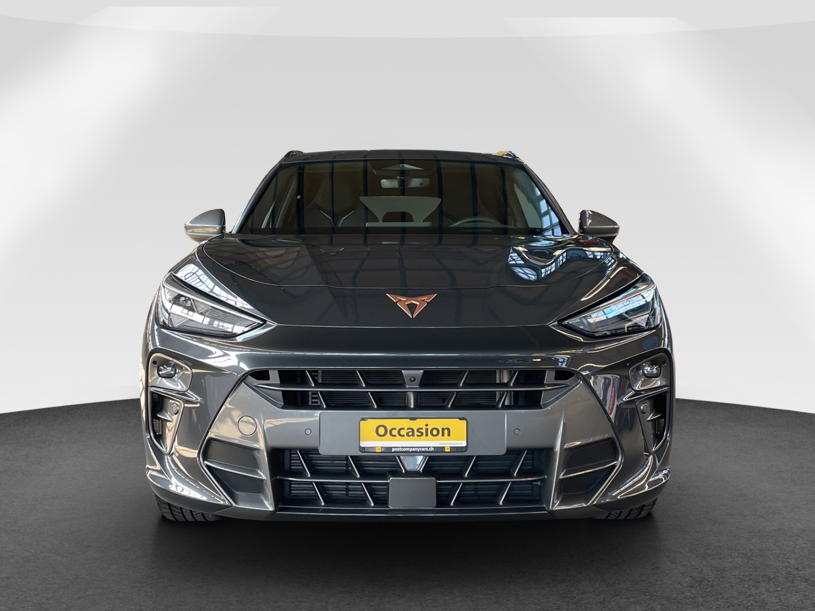 CUPRA Terramar 2.0 TSI 4Drive DSG-image-1