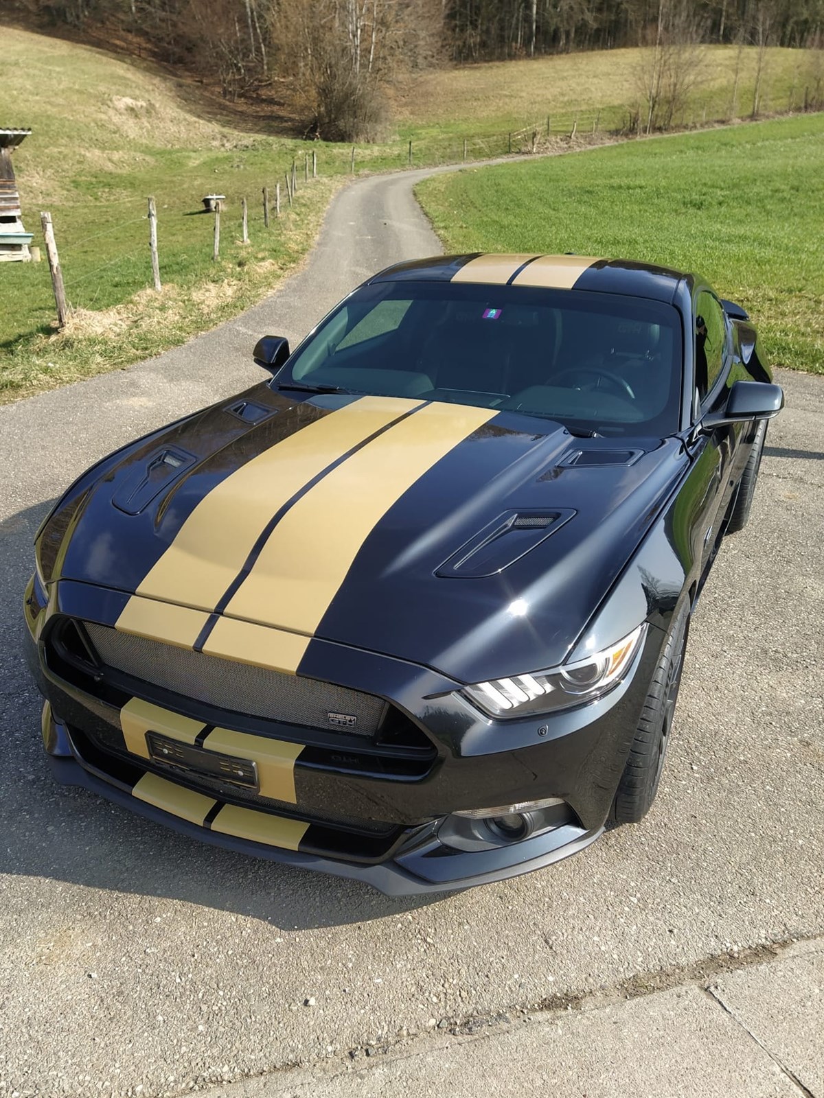 FORD Shelby GT-H (Hertz original) 5.0 V8-image-0