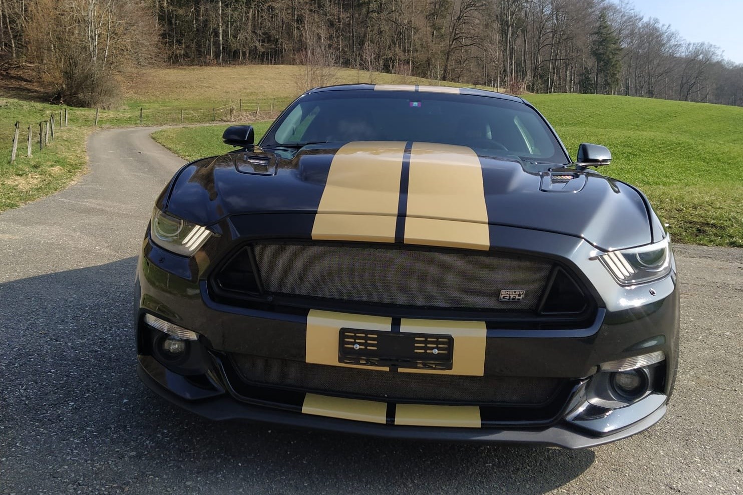 FORD Shelby GT-H (Hertz original) 5.0 V8-image-10