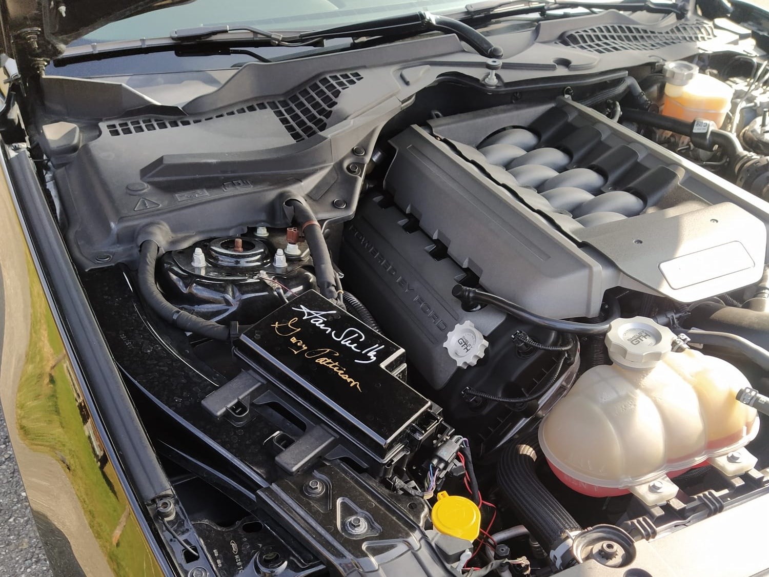 FORD Shelby GT-H (Hertz original) 5.0 V8-image-9