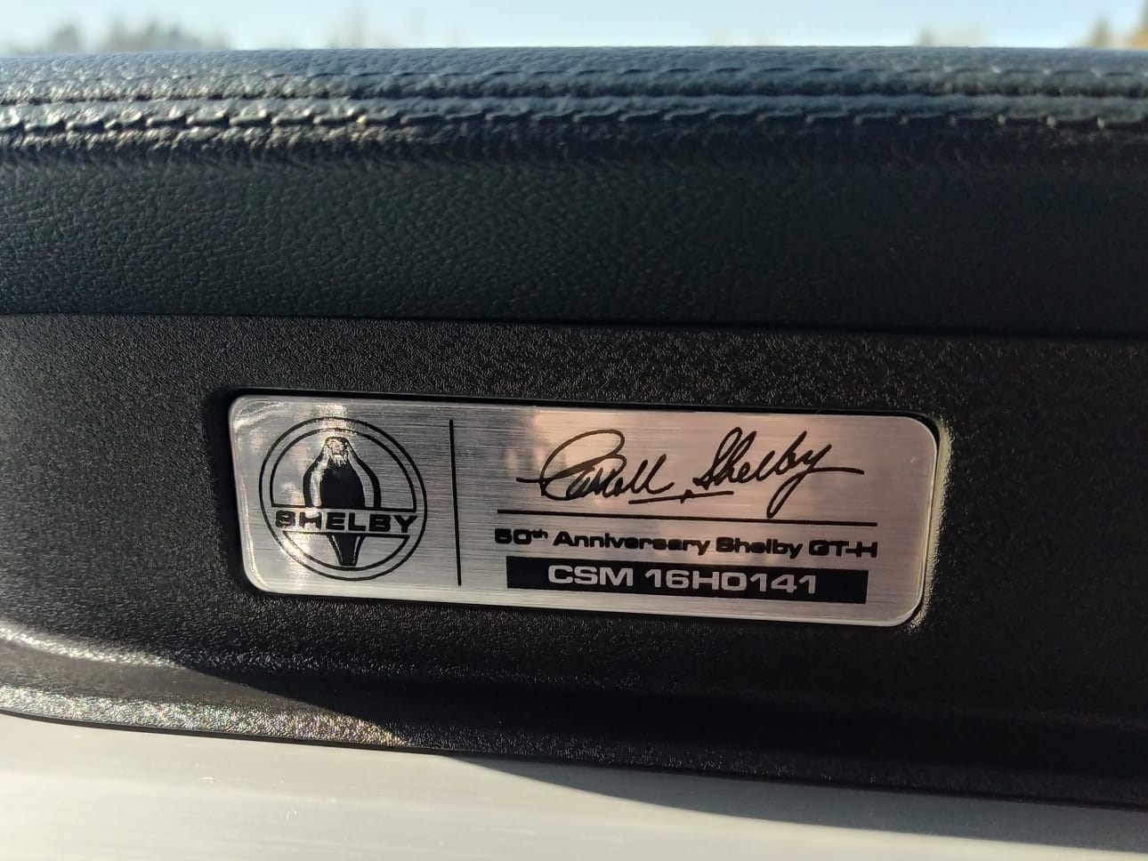 FORD Shelby GT-H (Hertz original) 5.0 V8-image-8