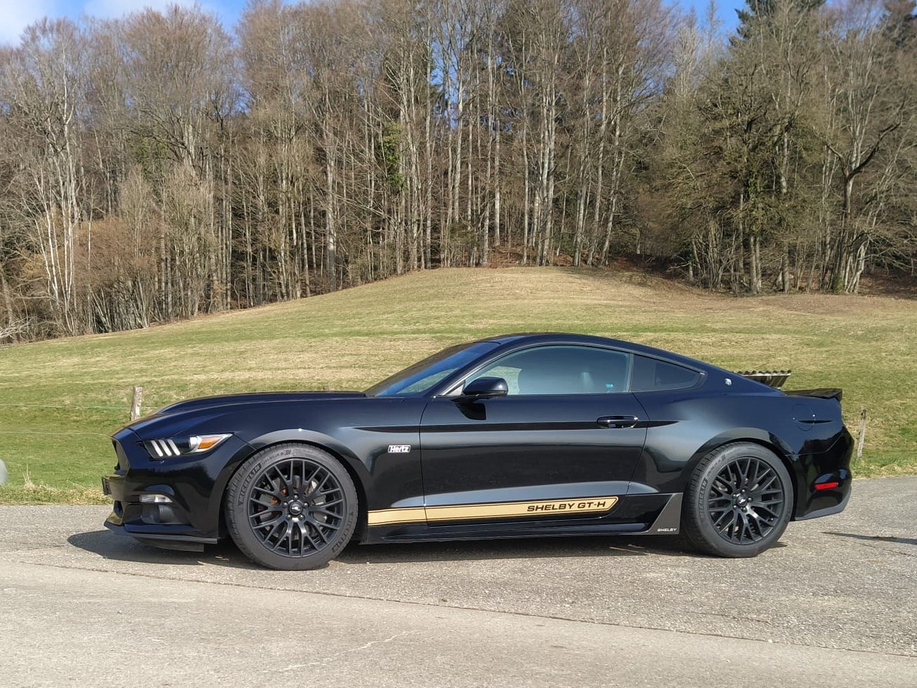 FORD Shelby GT-H (Hertz original) 5.0 V8-image-1