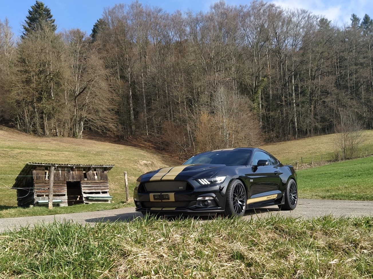 FORD Shelby GT-H (Hertz original) 5.0 V8-image-2