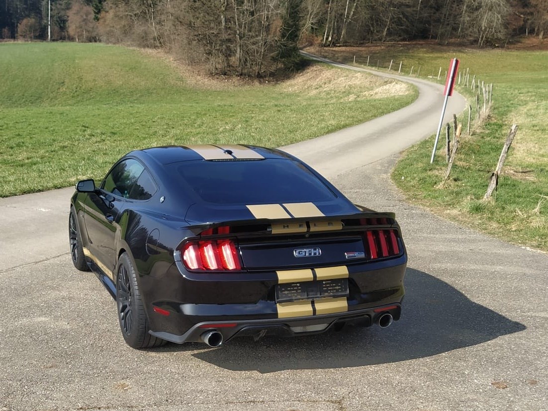 FORD Shelby GT-H (Hertz original) 5.0 V8-image-3
