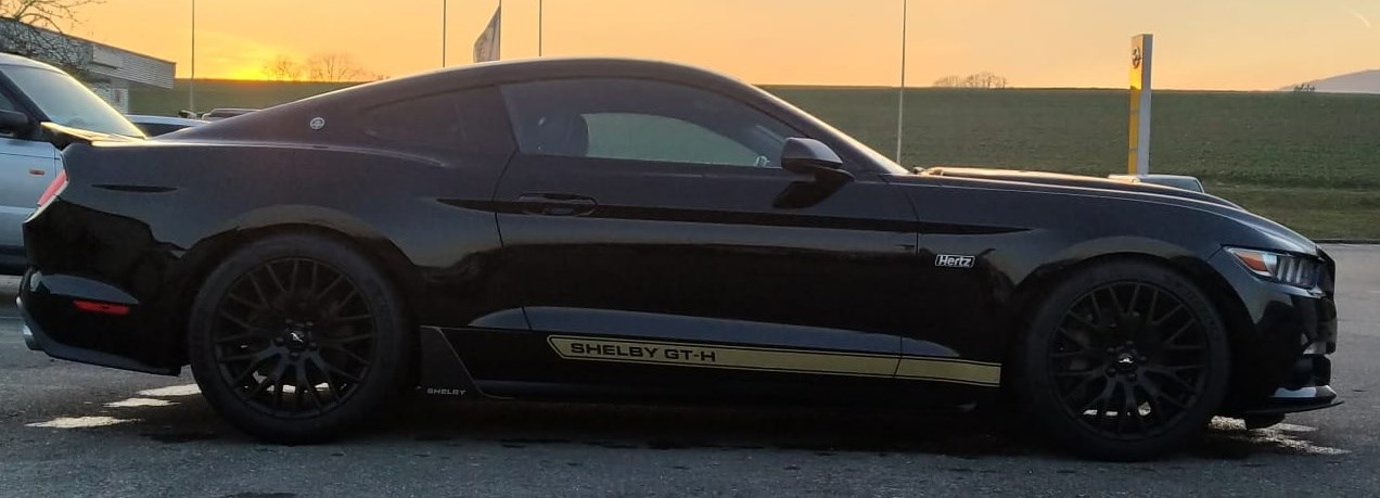 FORD Shelby GT-H (Hertz original) 5.0 V8-image-4