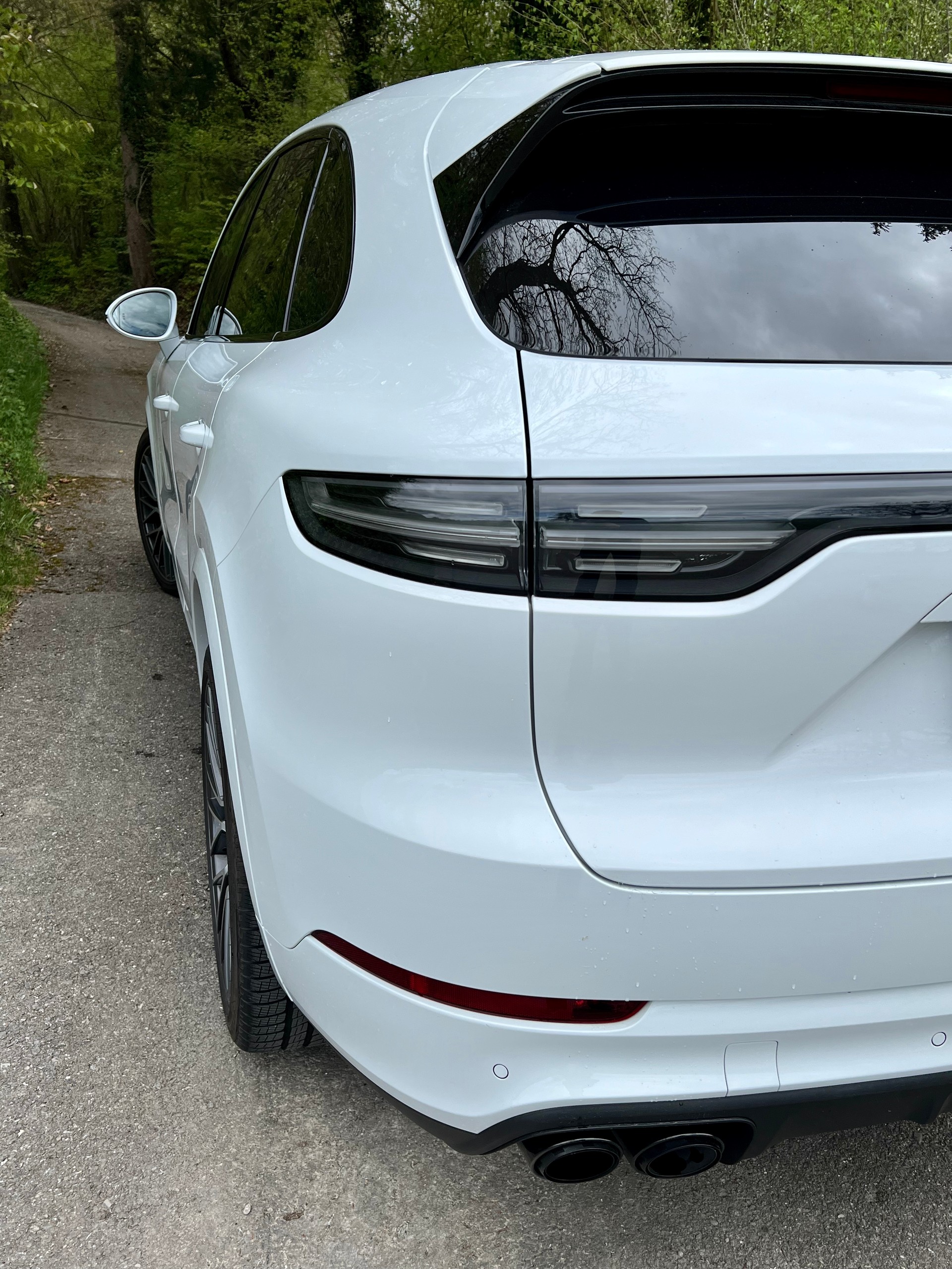 PORSCHE Cayenne Turbo (CH Fahrzeug)-image-6