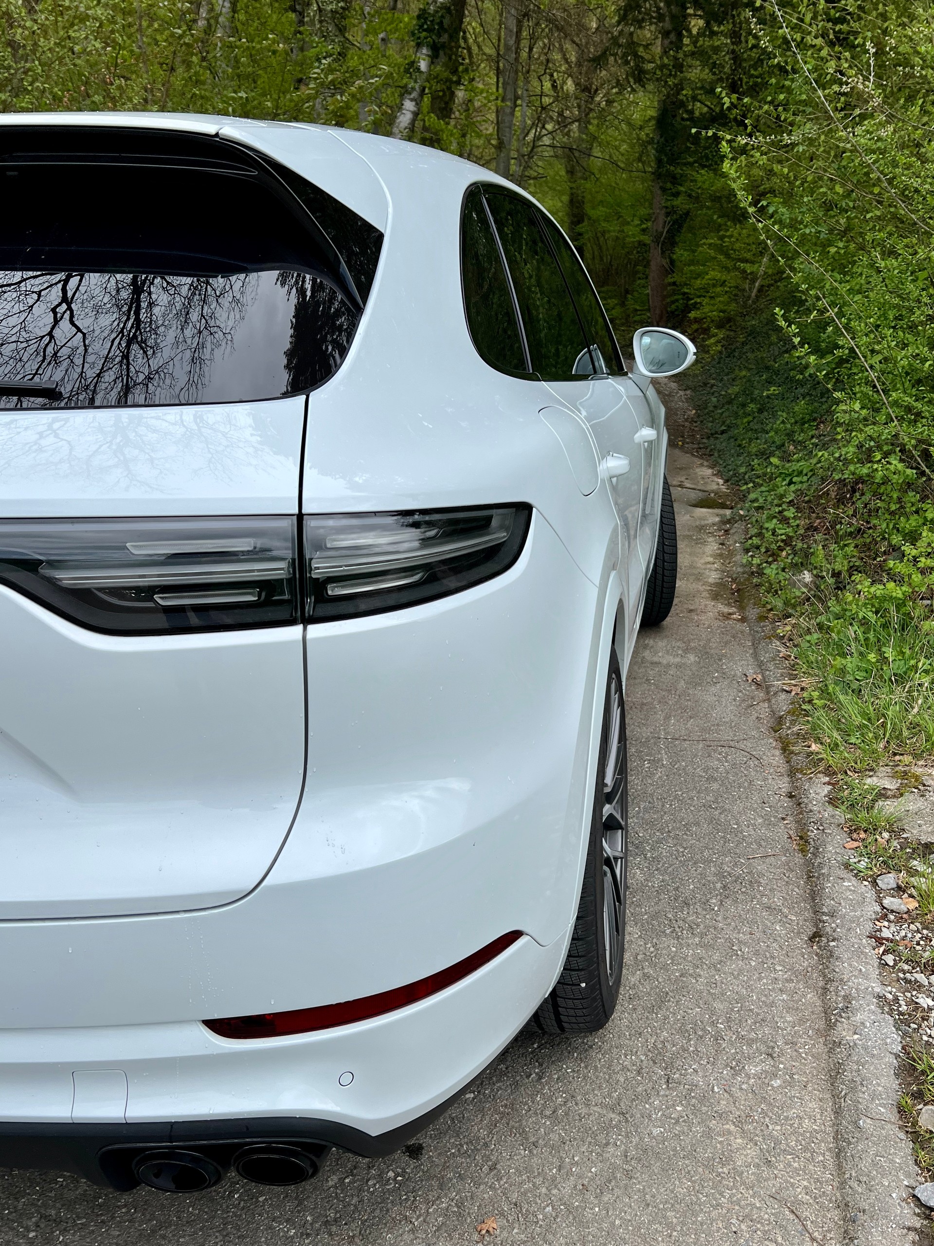PORSCHE Cayenne Turbo (CH Fahrzeug)-image-5