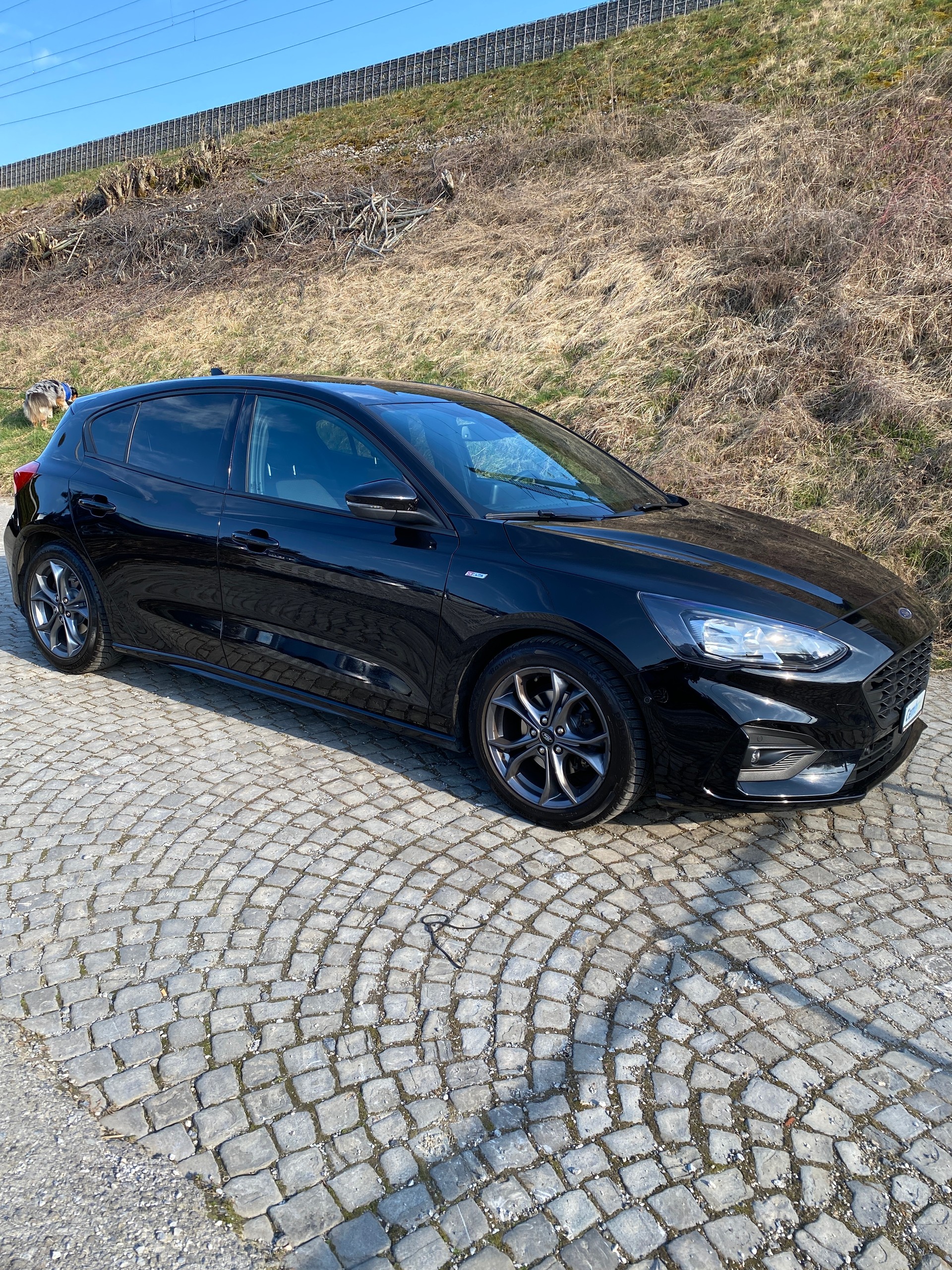FORD Focus 1.0 SCTi ST Line Automatic-image-0