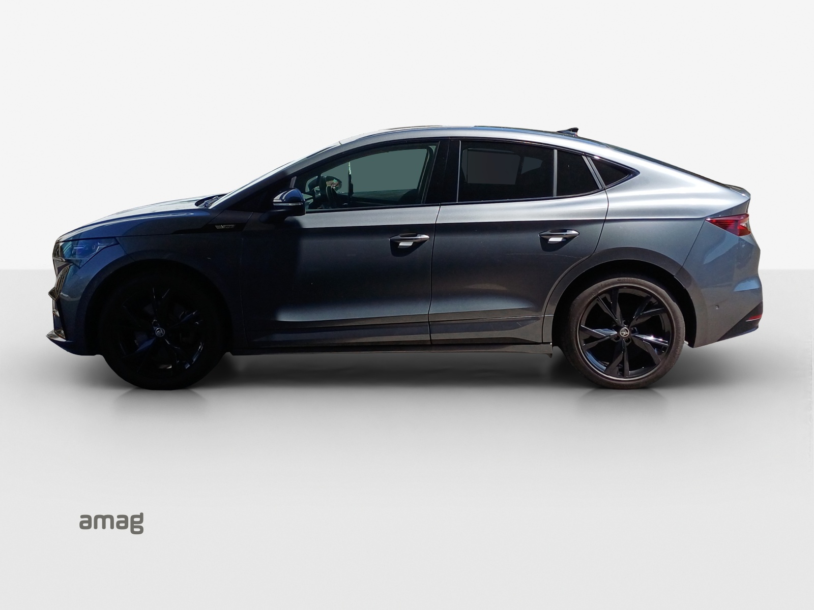 SKODA Enyaq Coupé RS iV 80 4x4-image-1
