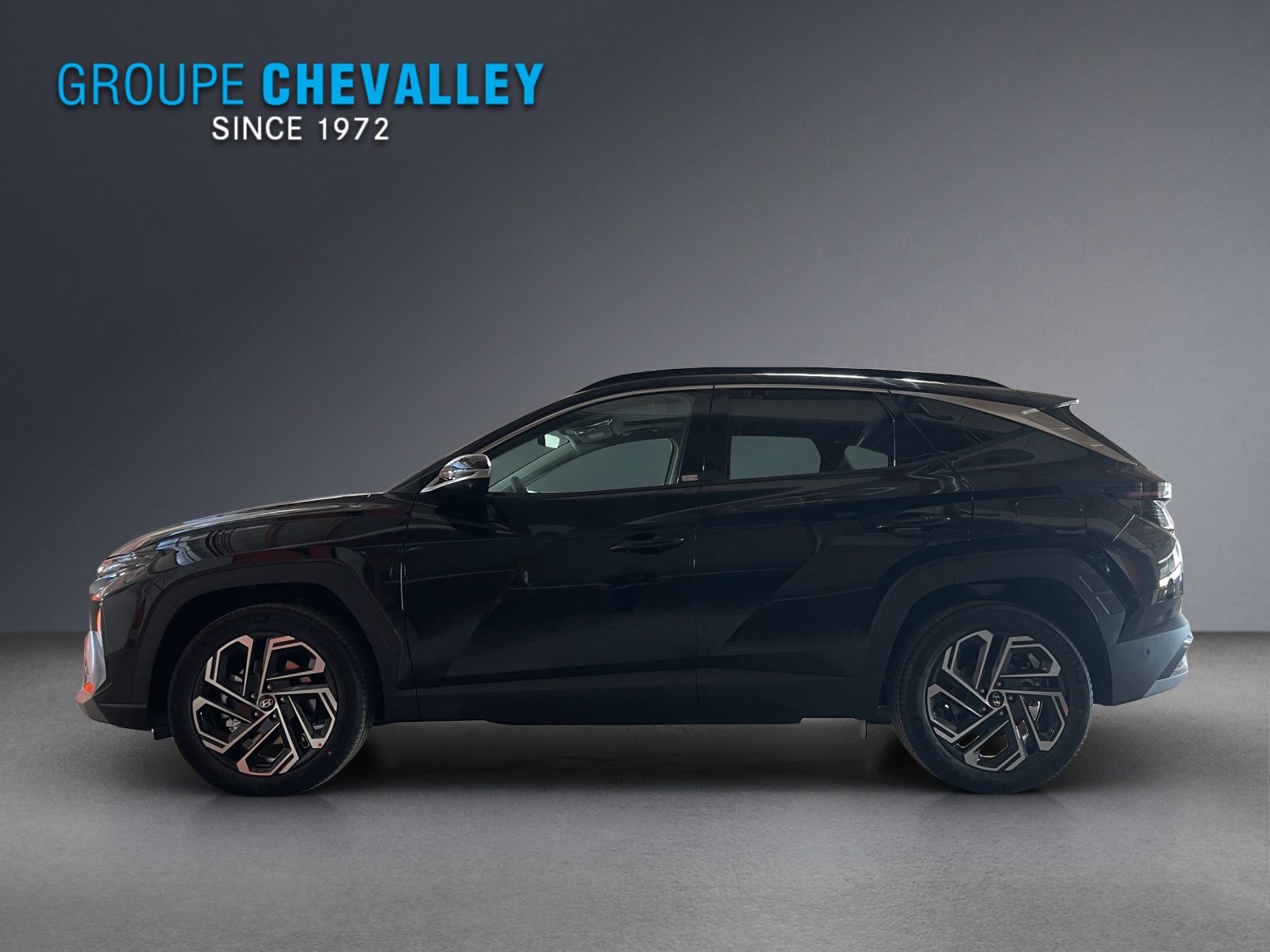 HYUNDAI Tucson 1.6 TGDI HEV Vertex 4WD Swiss Edition-showroom-element-2