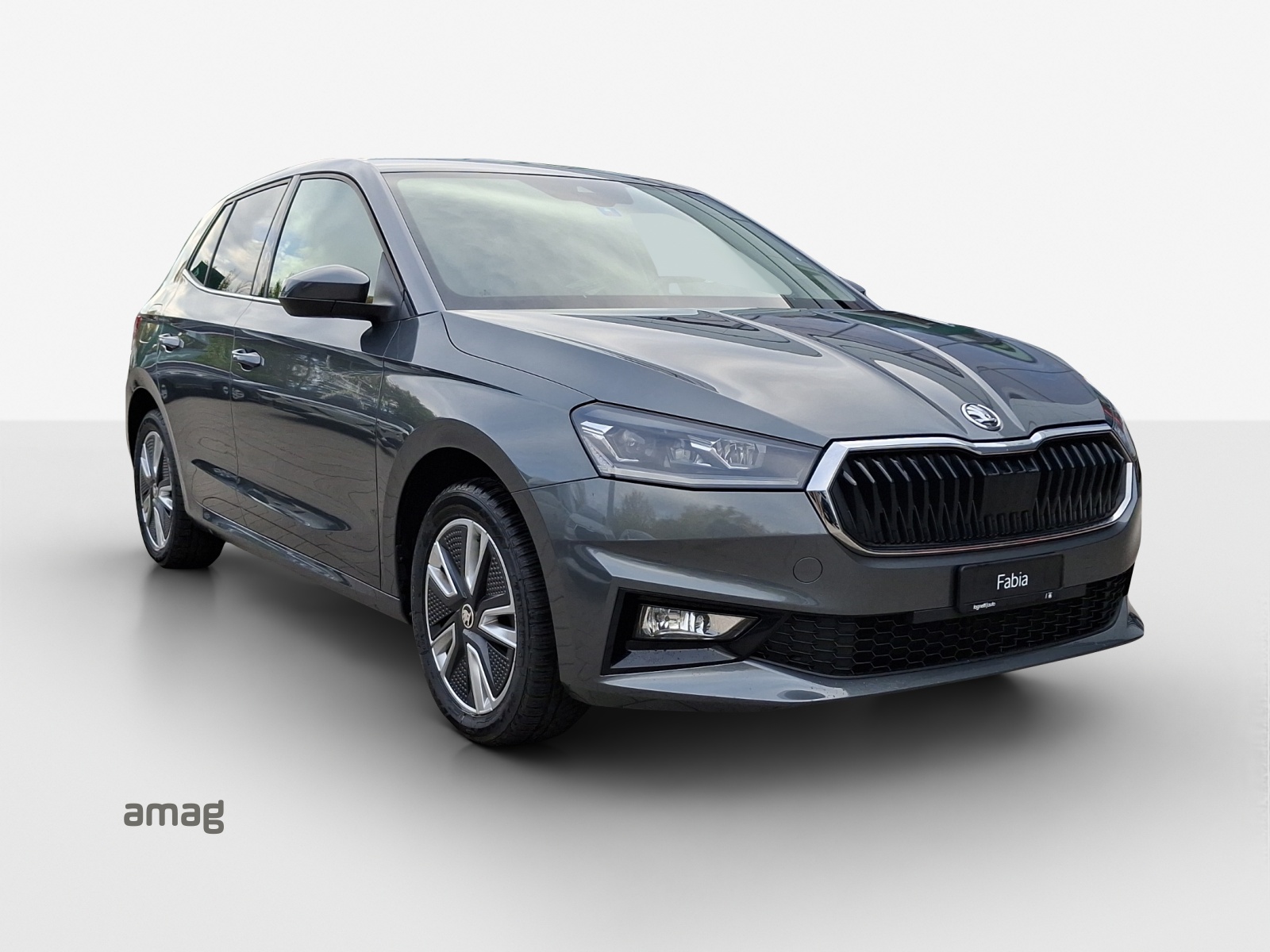 SKODA Fabia 1.0 TSI Style DSG-image-5