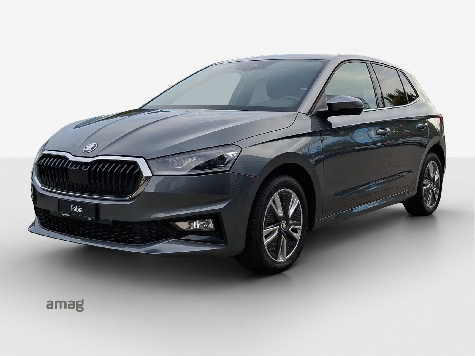 SKODA Fabia 1.0 TSI Style DSG-image-0