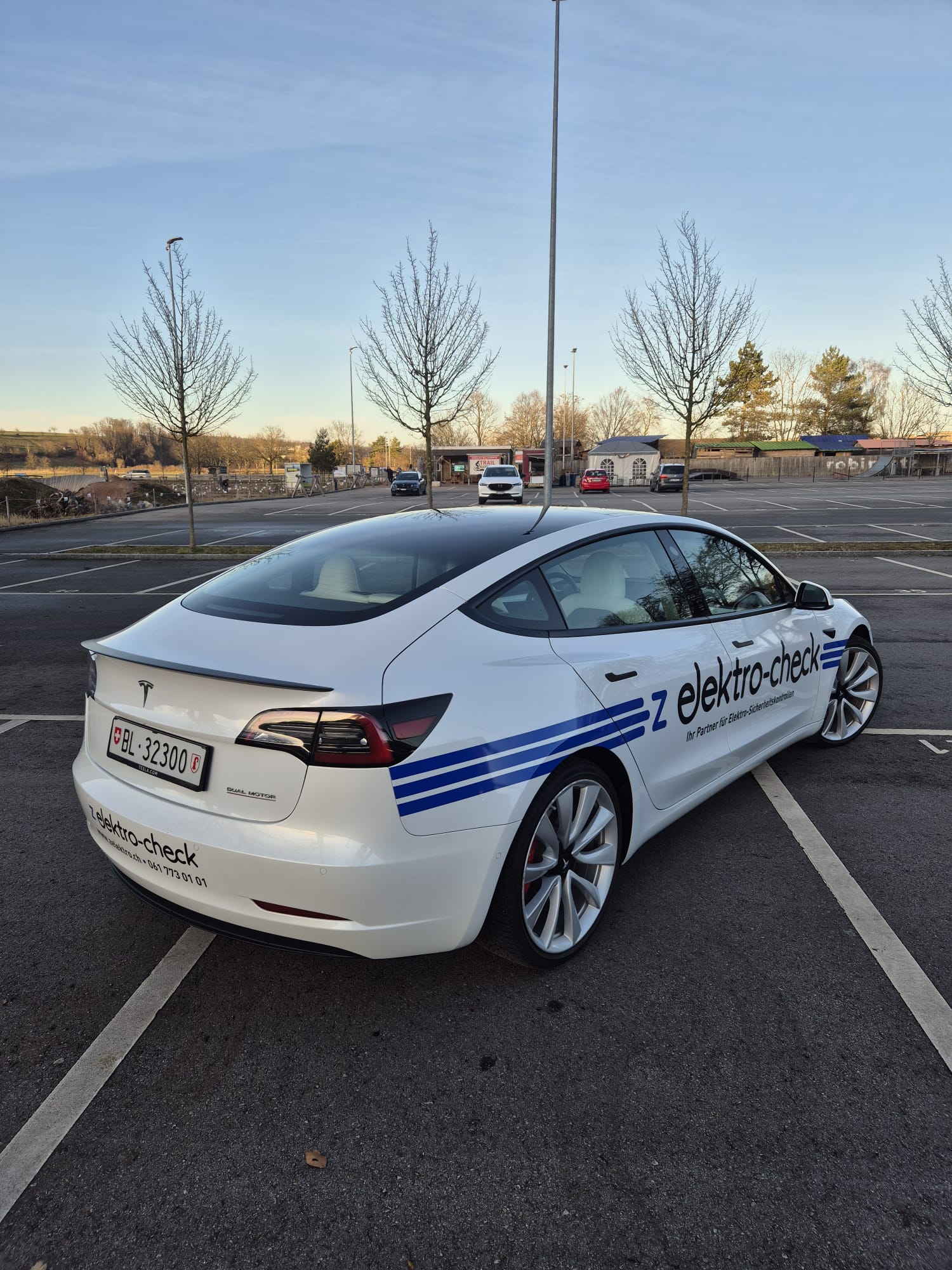 TESLA Model 3 Performance Dual Motor AWD-image-5