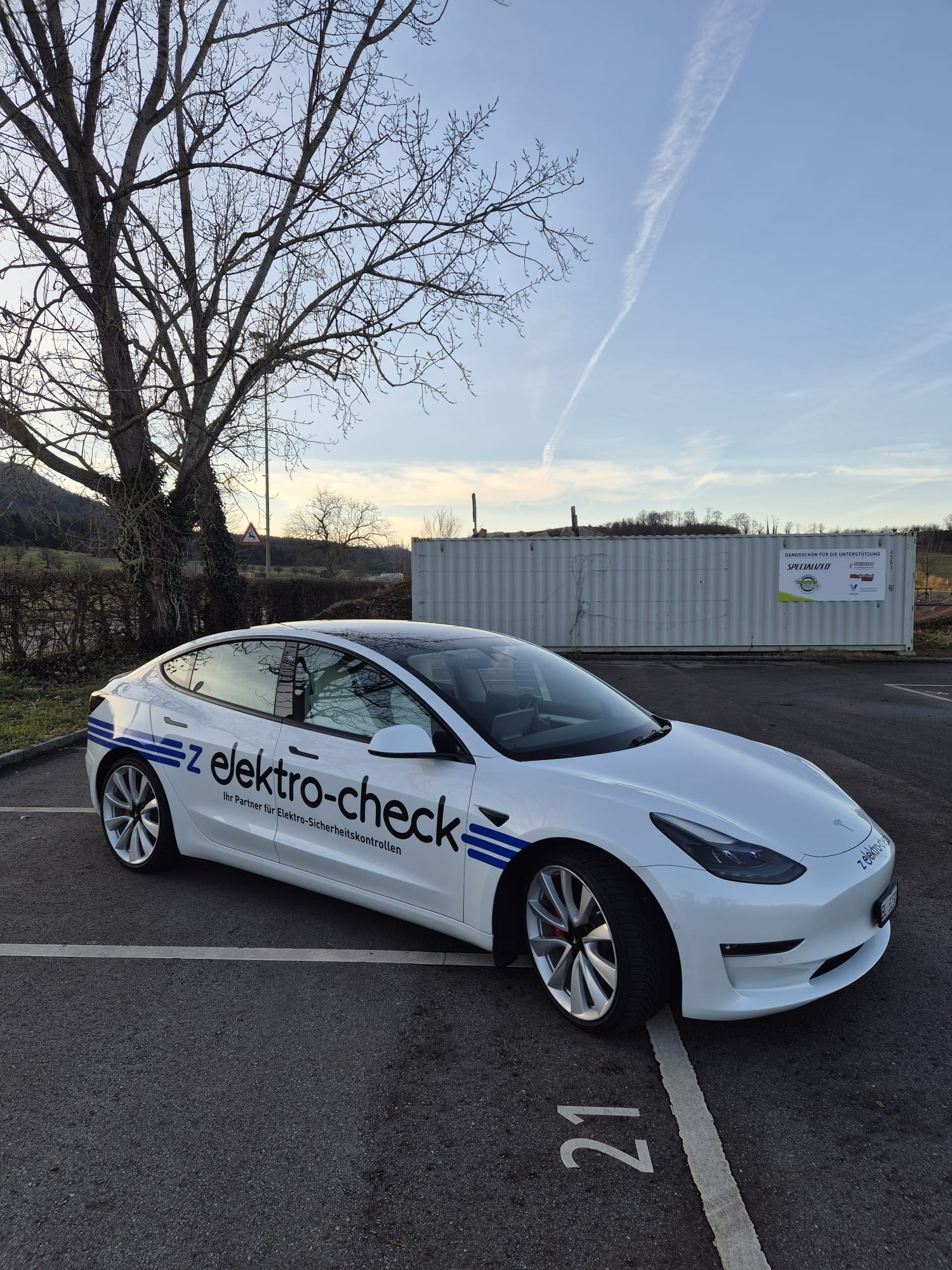 TESLA Model 3 Performance Dual Motor AWD-image-6