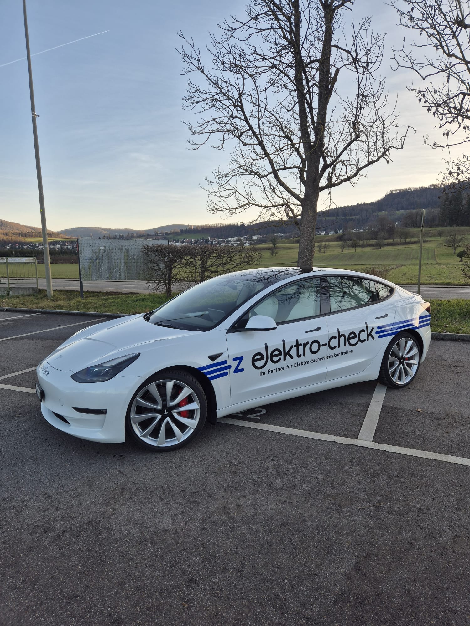 TESLA Model 3 Performance Dual Motor AWD-image-4