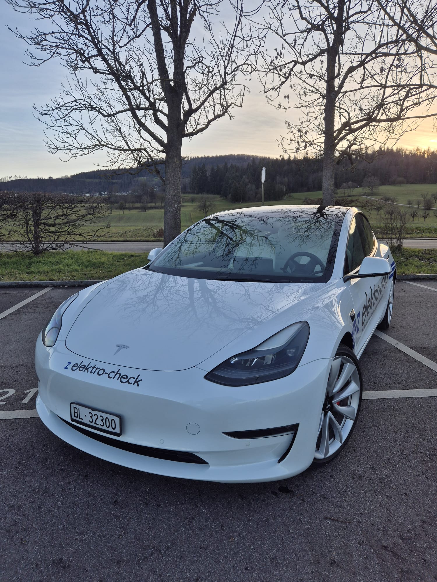 TESLA Model 3 Performance Dual Motor AWD-image-1
