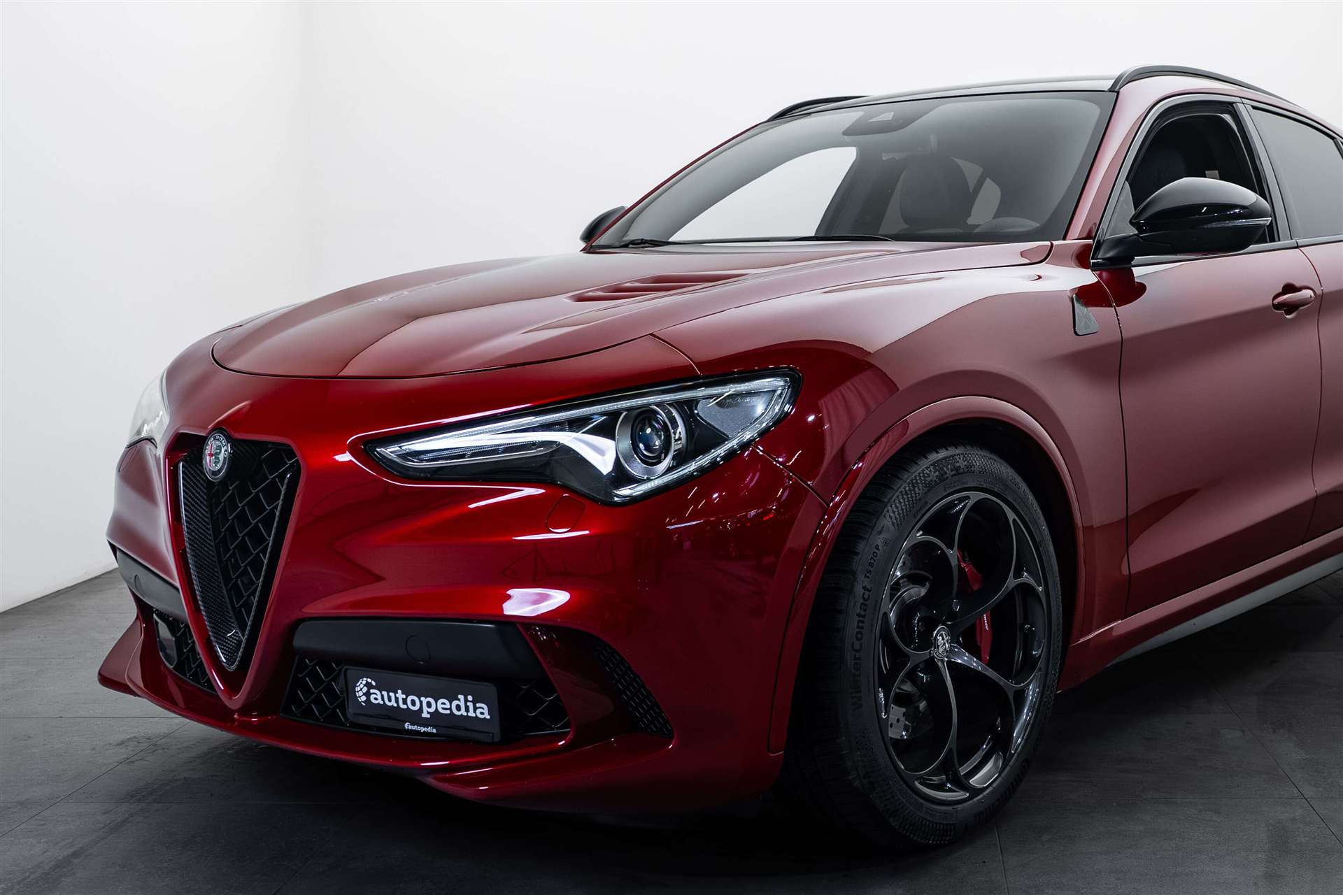 ALFA ROMEO Stelvio 2.9 V6 Quadrifoglio Q4 Automatic-showroom-element-1