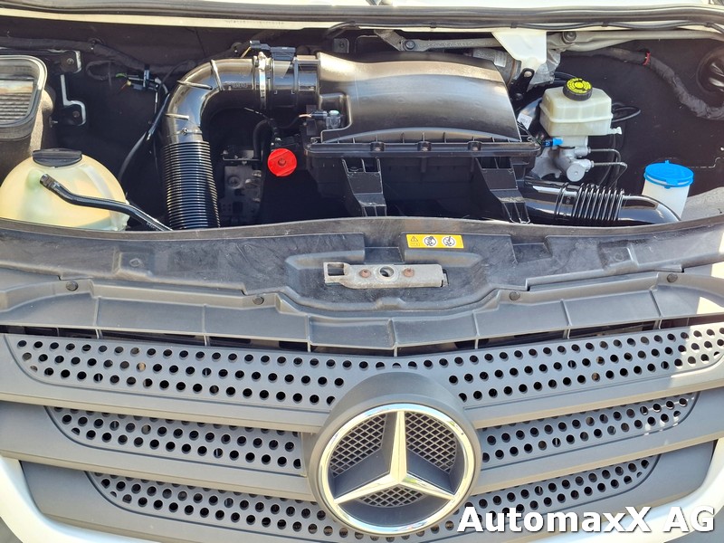 MERCEDES-BENZ Sprinter 316 Kab.-Ch. 3665 Tiefkühlwagen-image-14