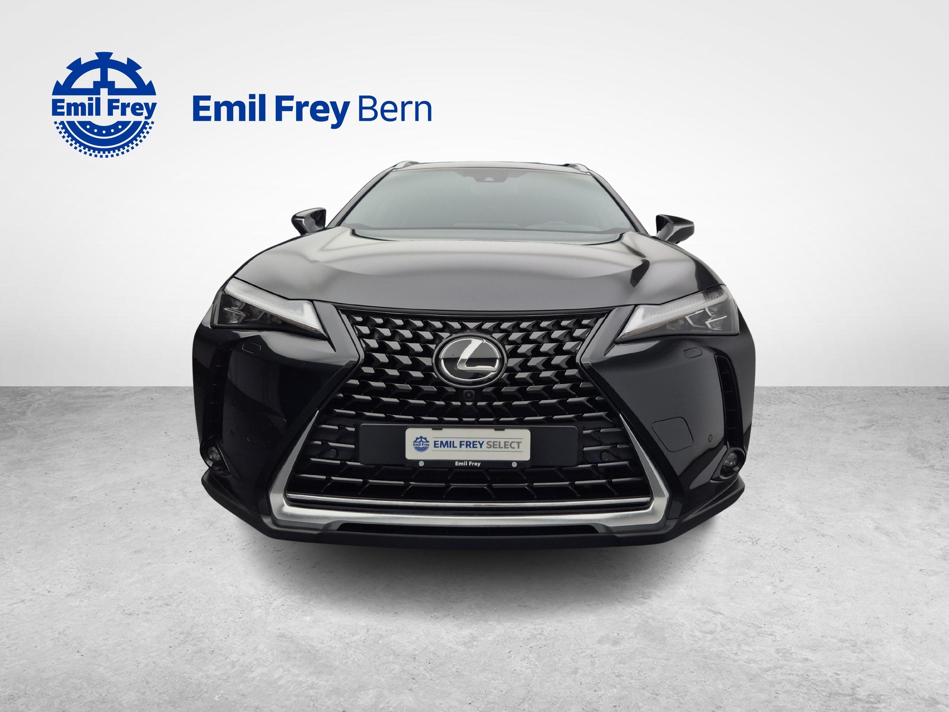 LEXUS UX 250h Excellence-image-10