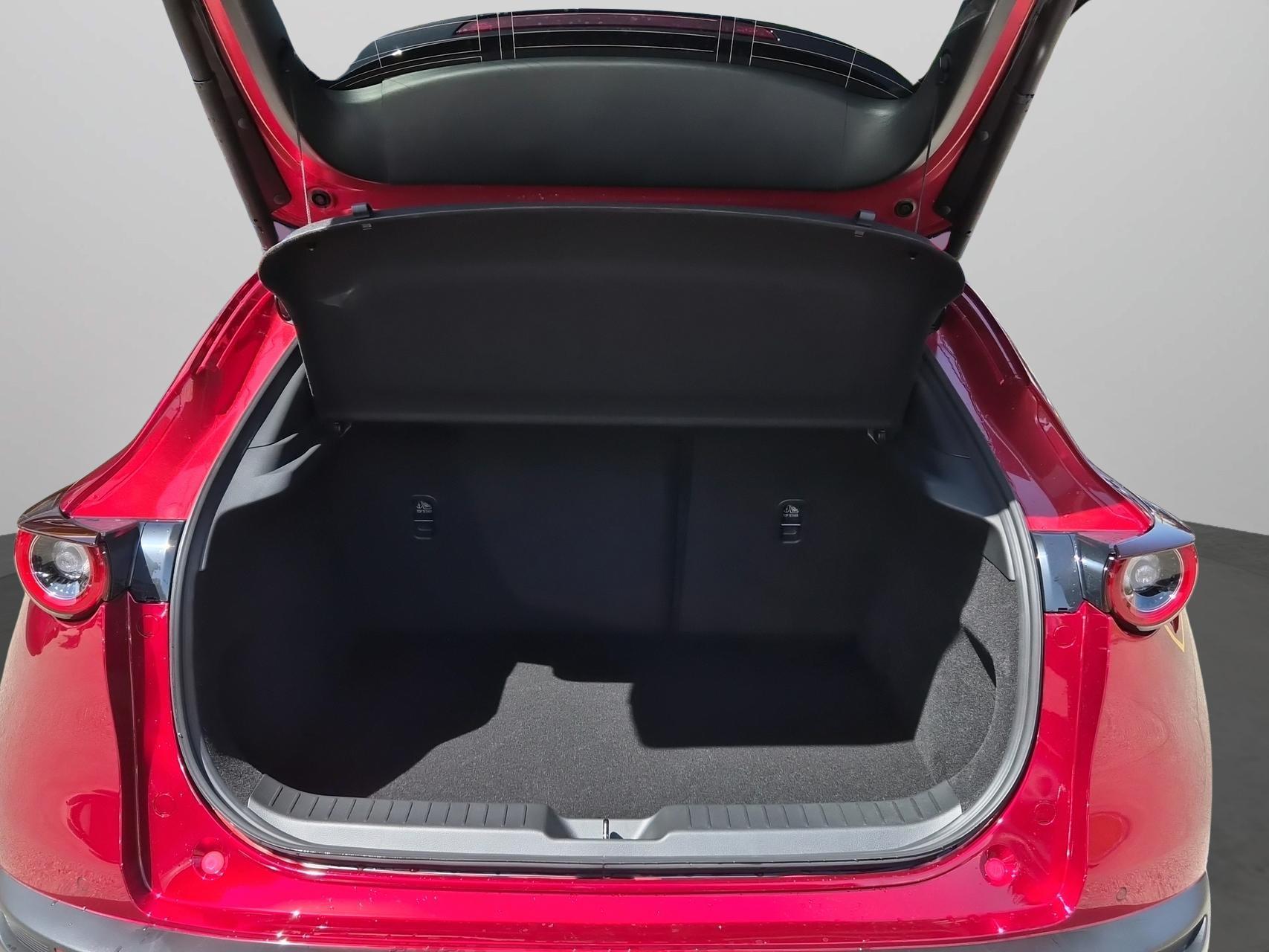 MAZDA CX-30 SKYACTIV-X 186 M Hybrid Exclusive Line AWD AT-image-12