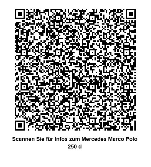 MERCEDES-BENZ 250 d-image-3