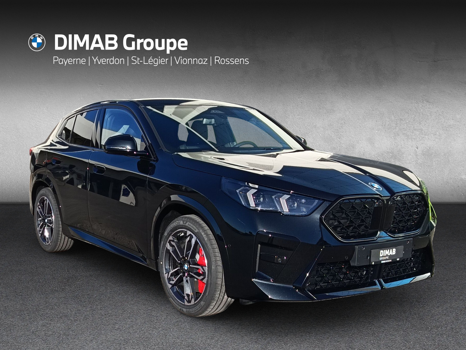 BMW X2 sDrive 20i 48V M Sport Pro-image-22