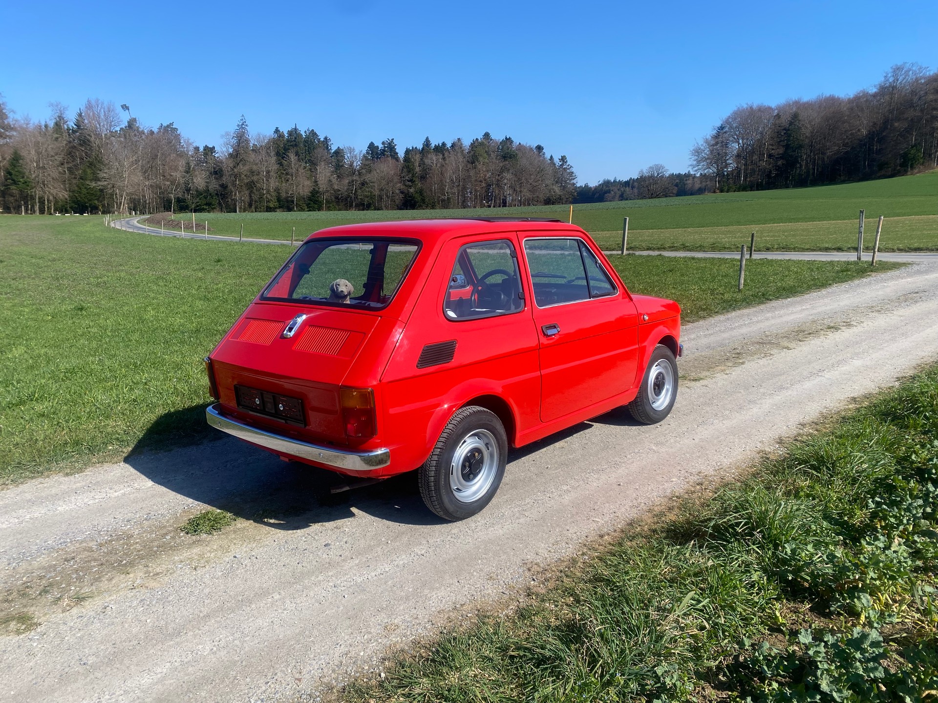 FIAT 126 Bambino, Veteran geprüft-image-4