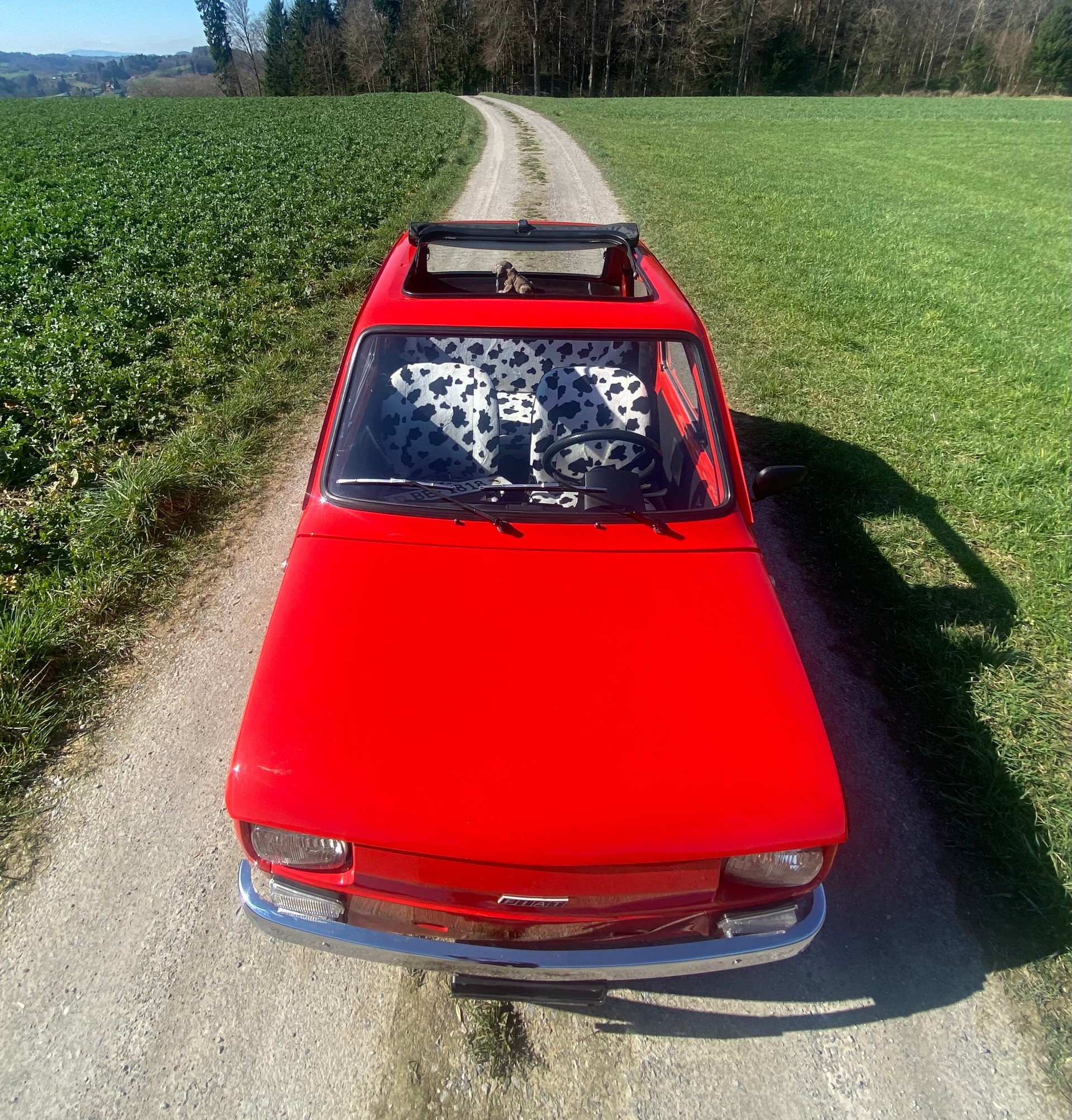 FIAT 126 Bambino, Veteran geprüft-image-6