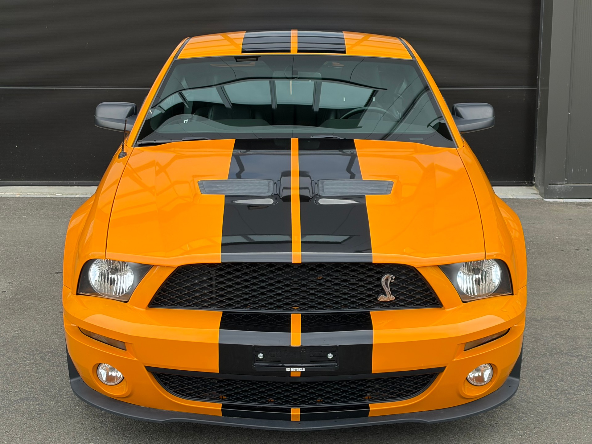 FORD GT 500 SVT Supercharged-image-2